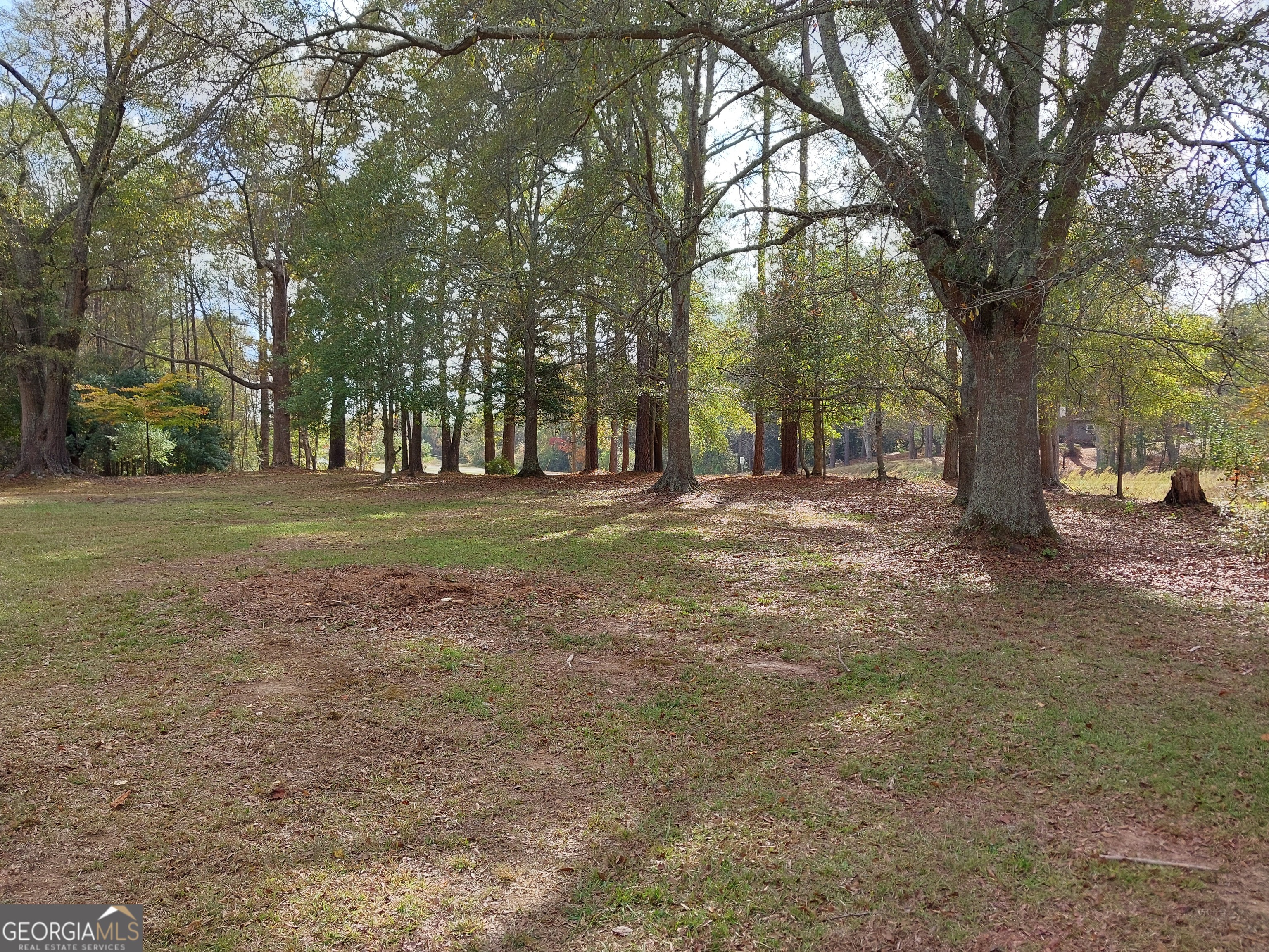 2193 Hiram Douglasville Highway Property Photo 10