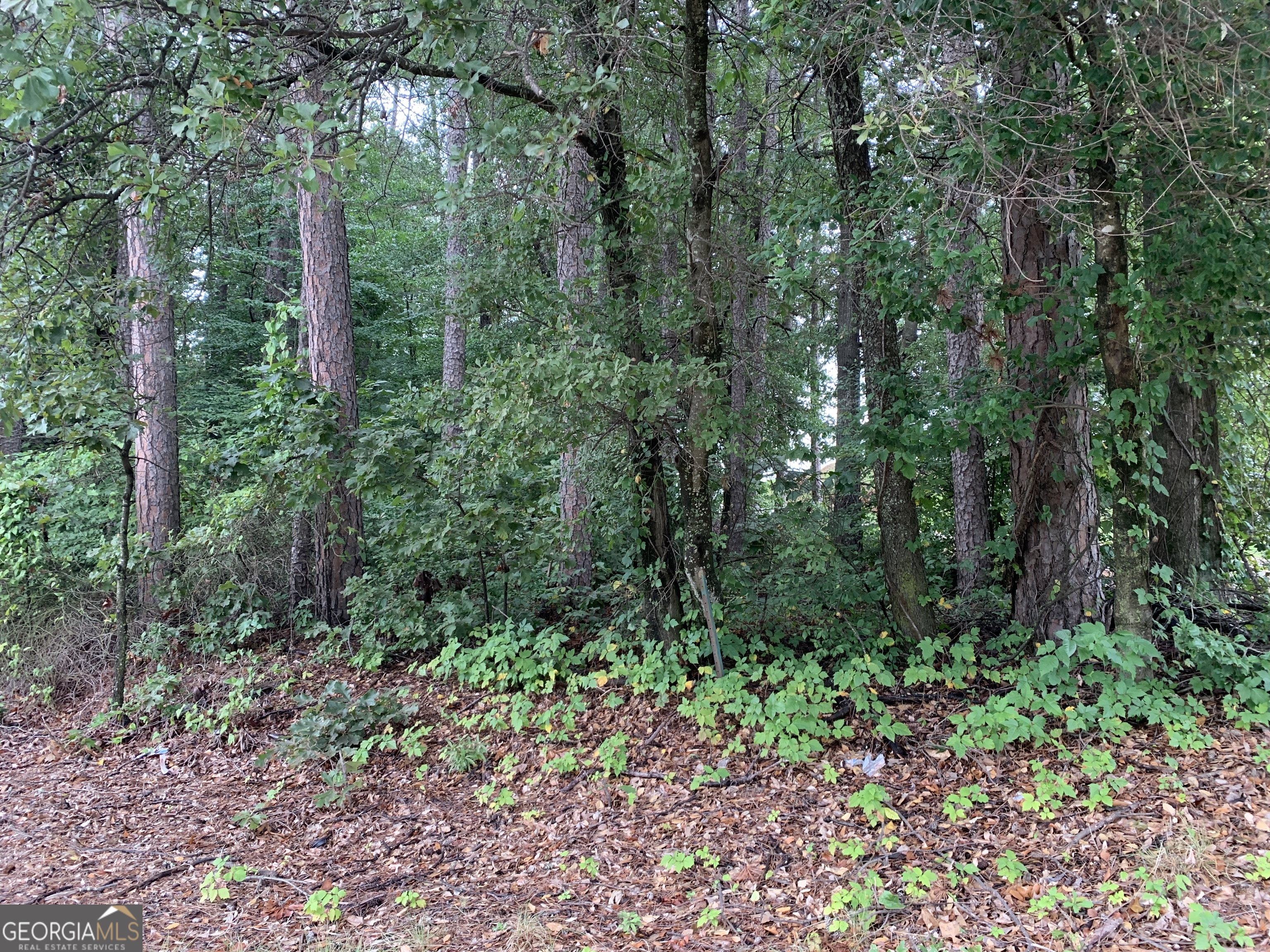 0 Hwy 17 Alt Property Photo 1