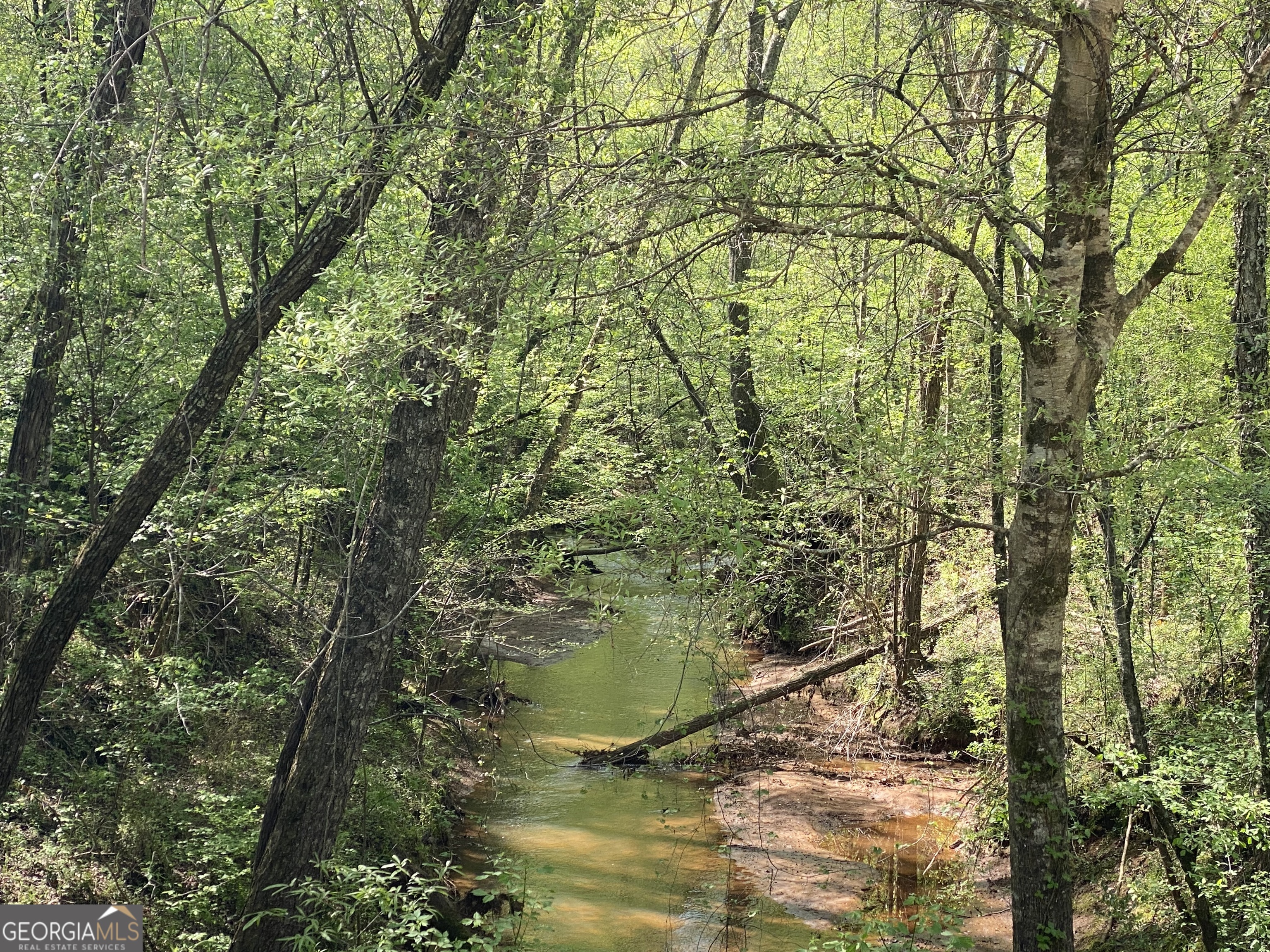 90 +/- Acres English Road Property Photo 1