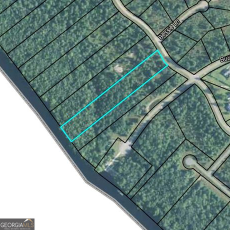 0 Janells River Drive Property Photo 1