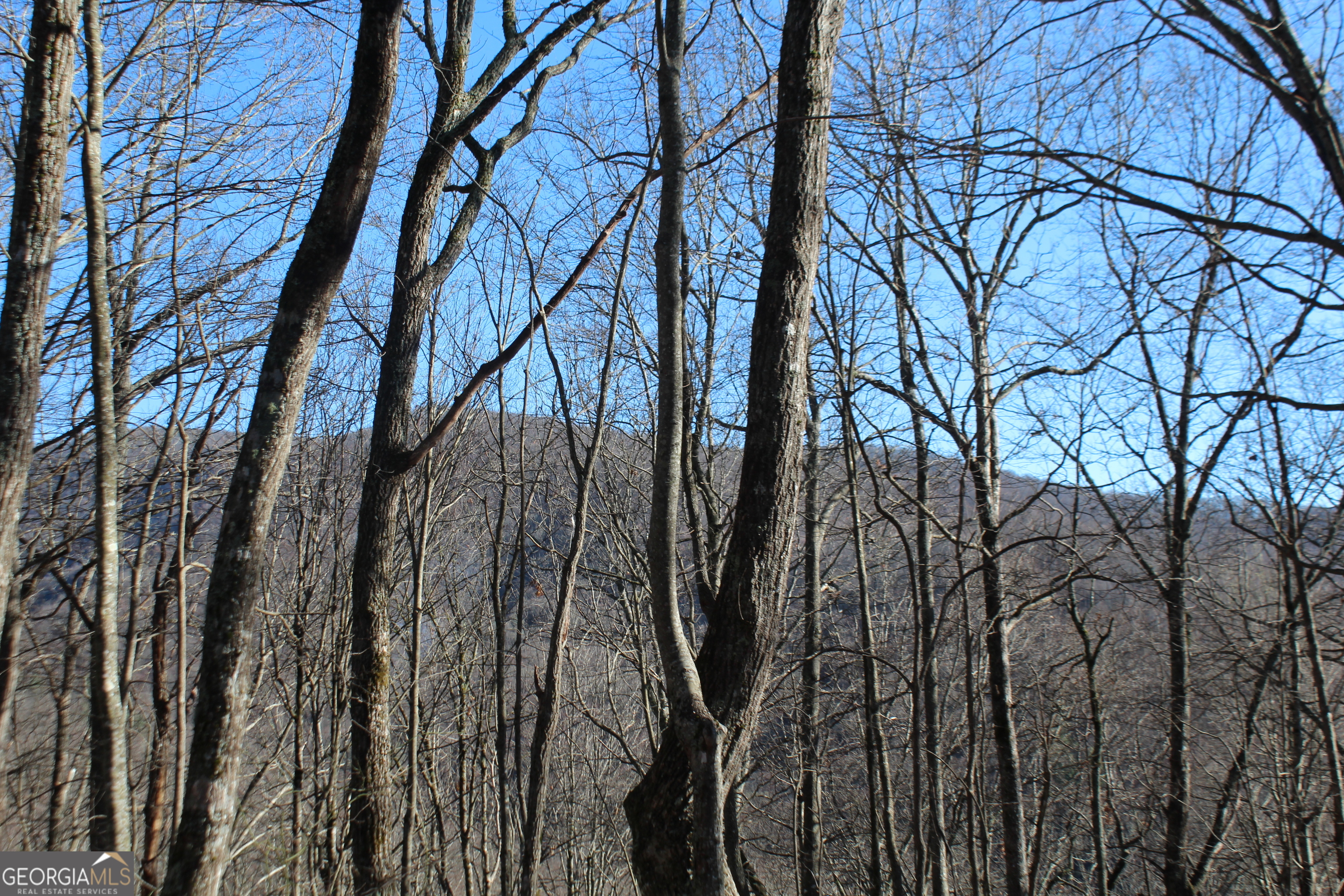 Tract B Highland Cove Property Photo 4