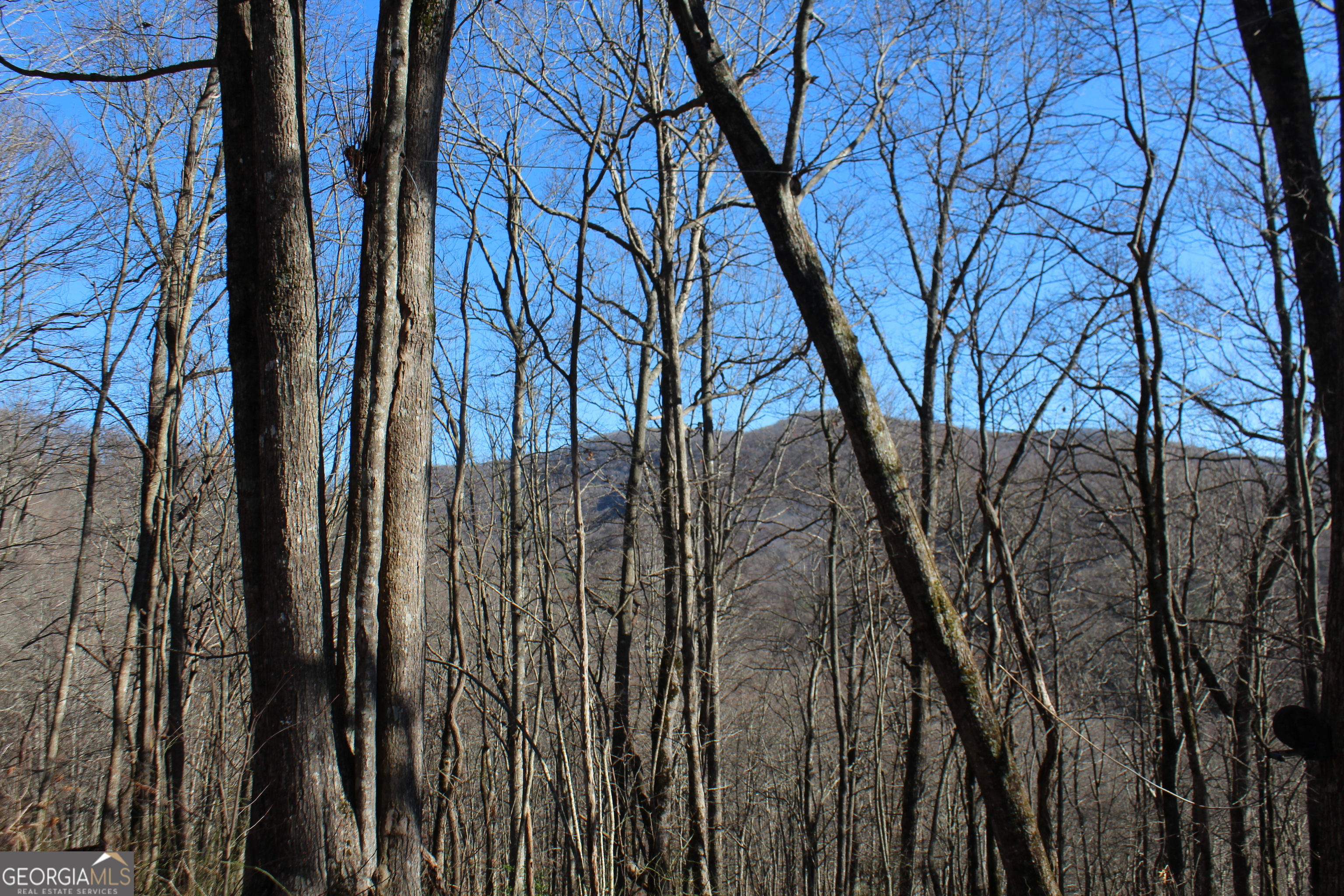 Tract B Highland Cove Property Photo 5