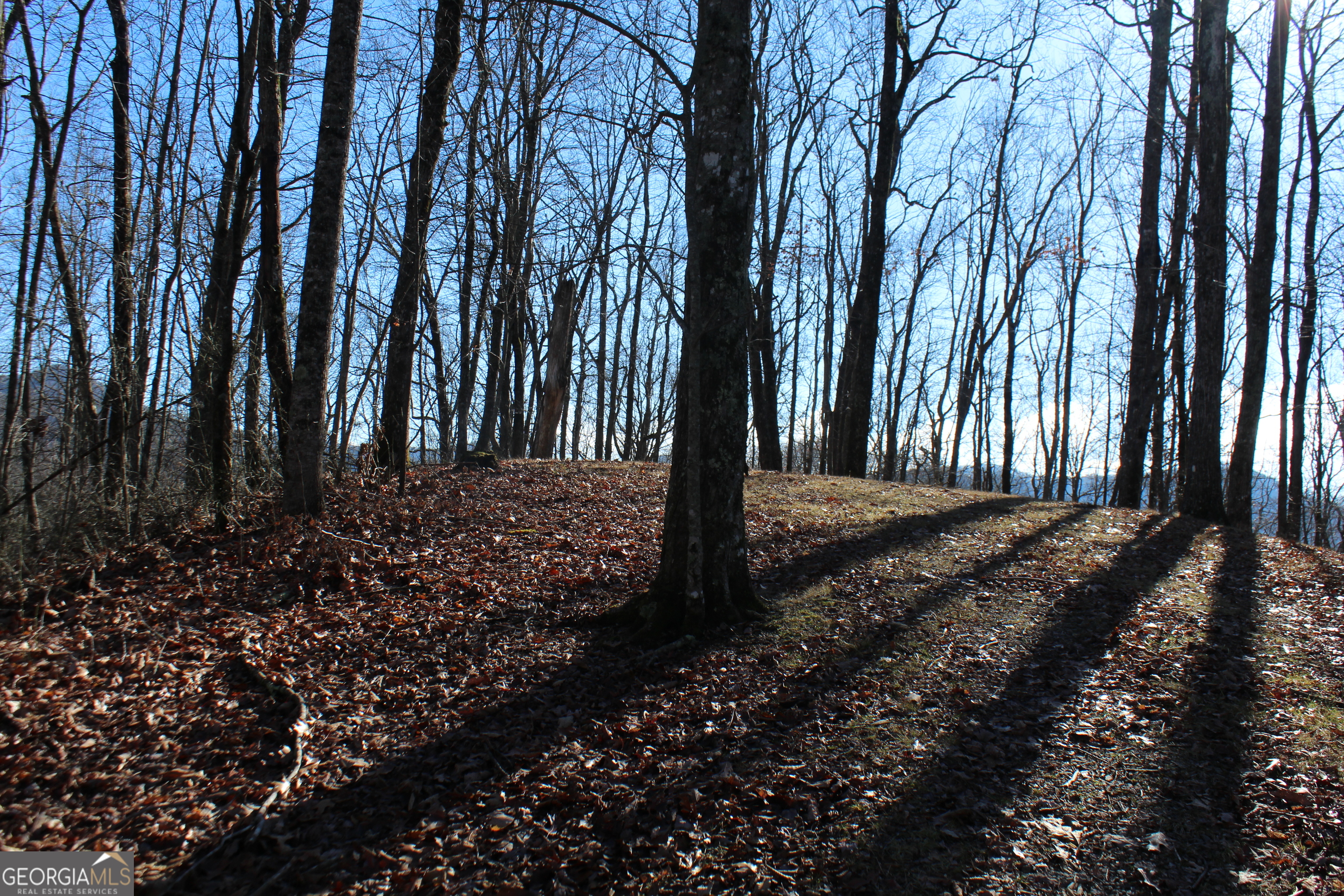 Tract B Highland Cove Property Photo 7