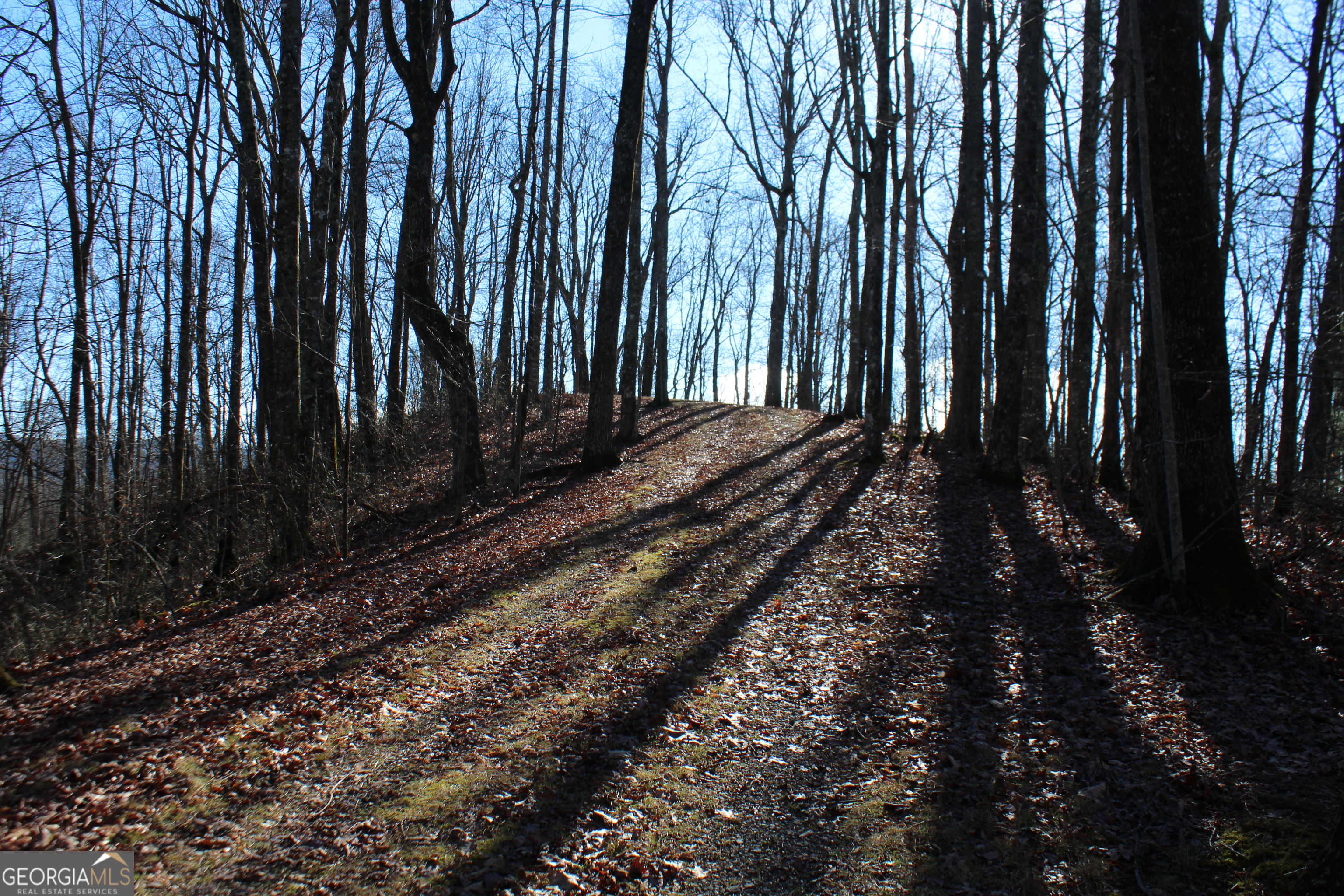 Tract B Highland Cove Property Photo 8