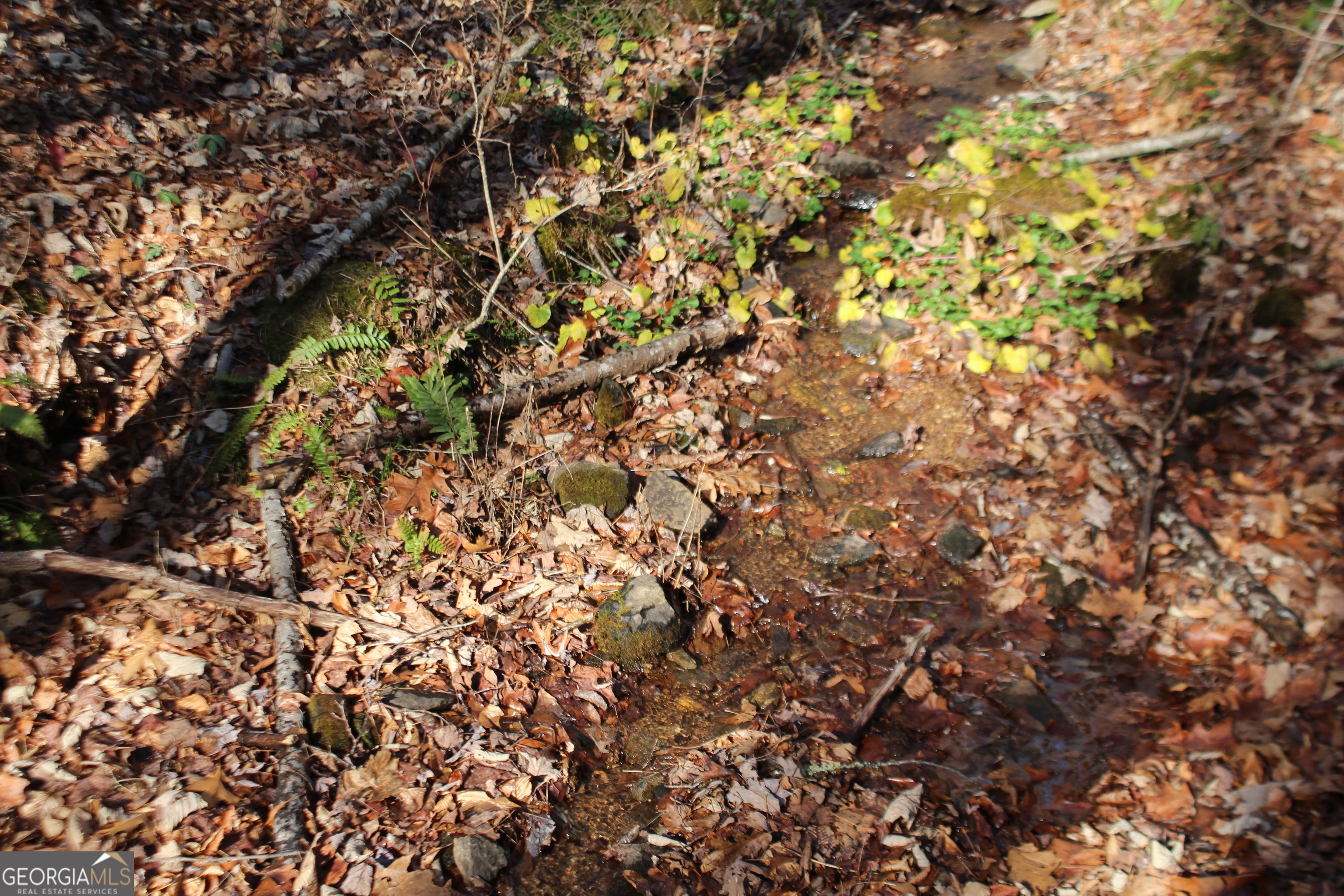 Tract B Highland Cove Property Photo 9