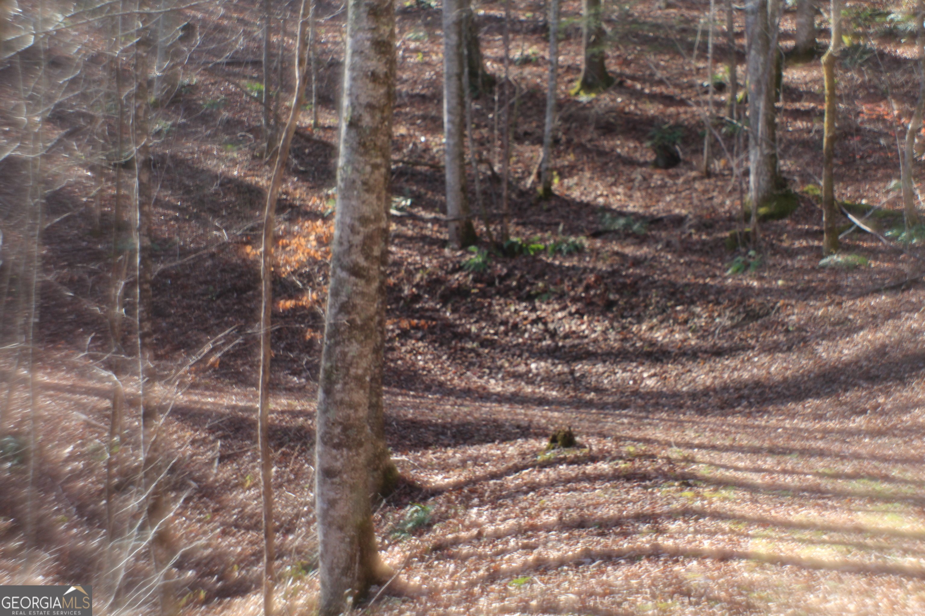 Tract B Highland Cove Property Photo 17
