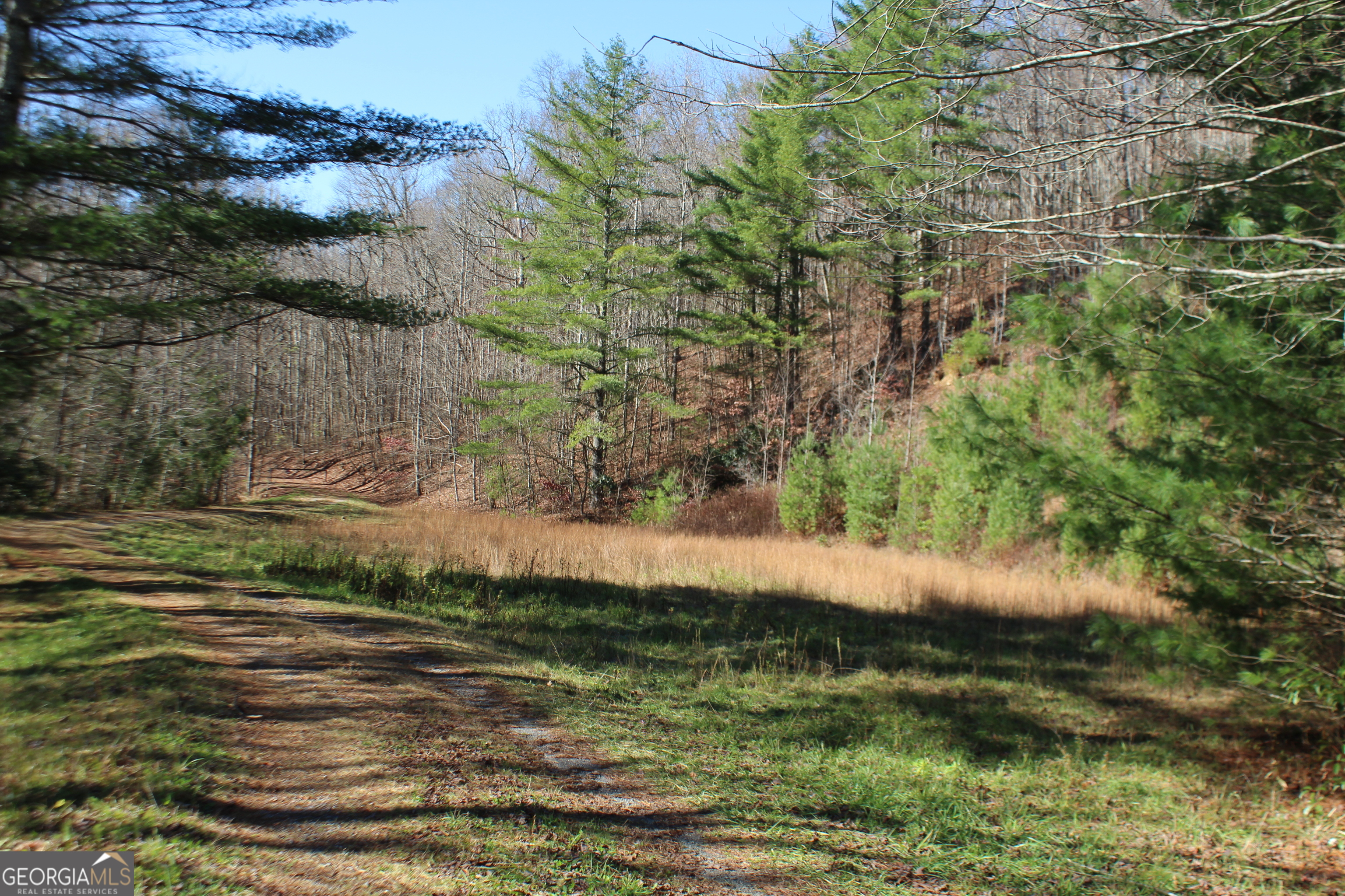 Tract B Highland Cove Property Photo 18