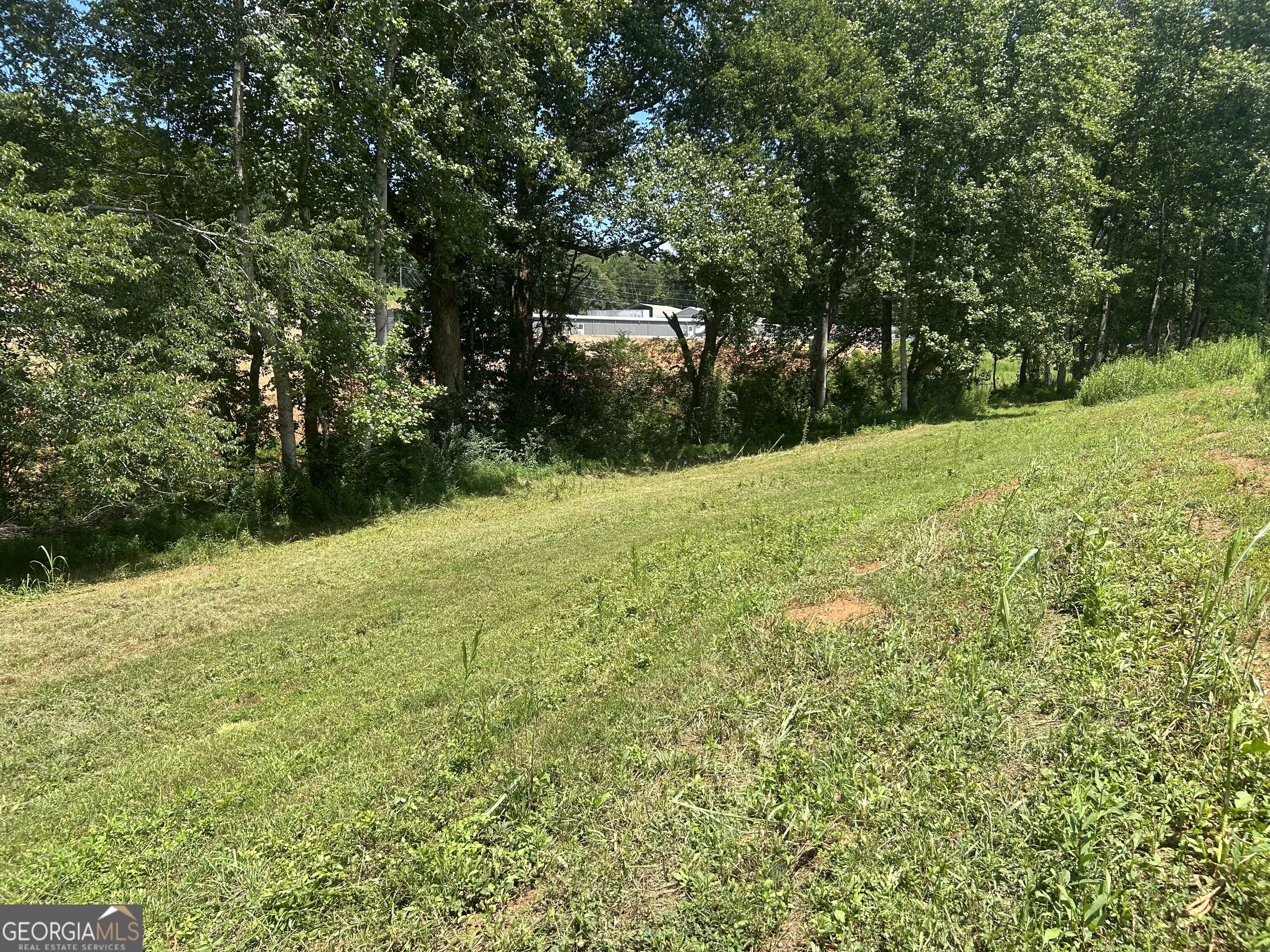 4039 Highway 19 N Property Photo 34
