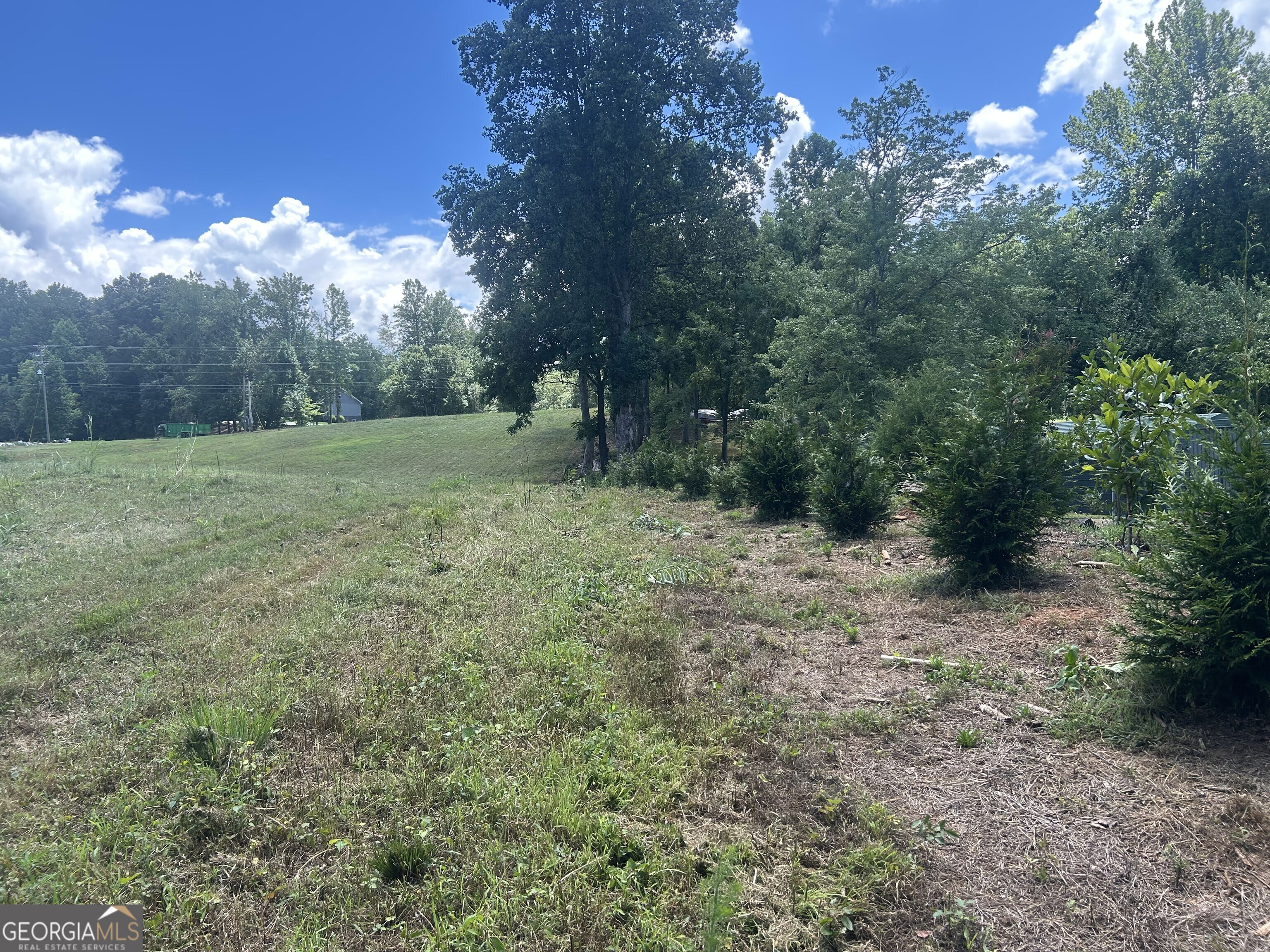 4039 Highway 19 N Property Photo 37