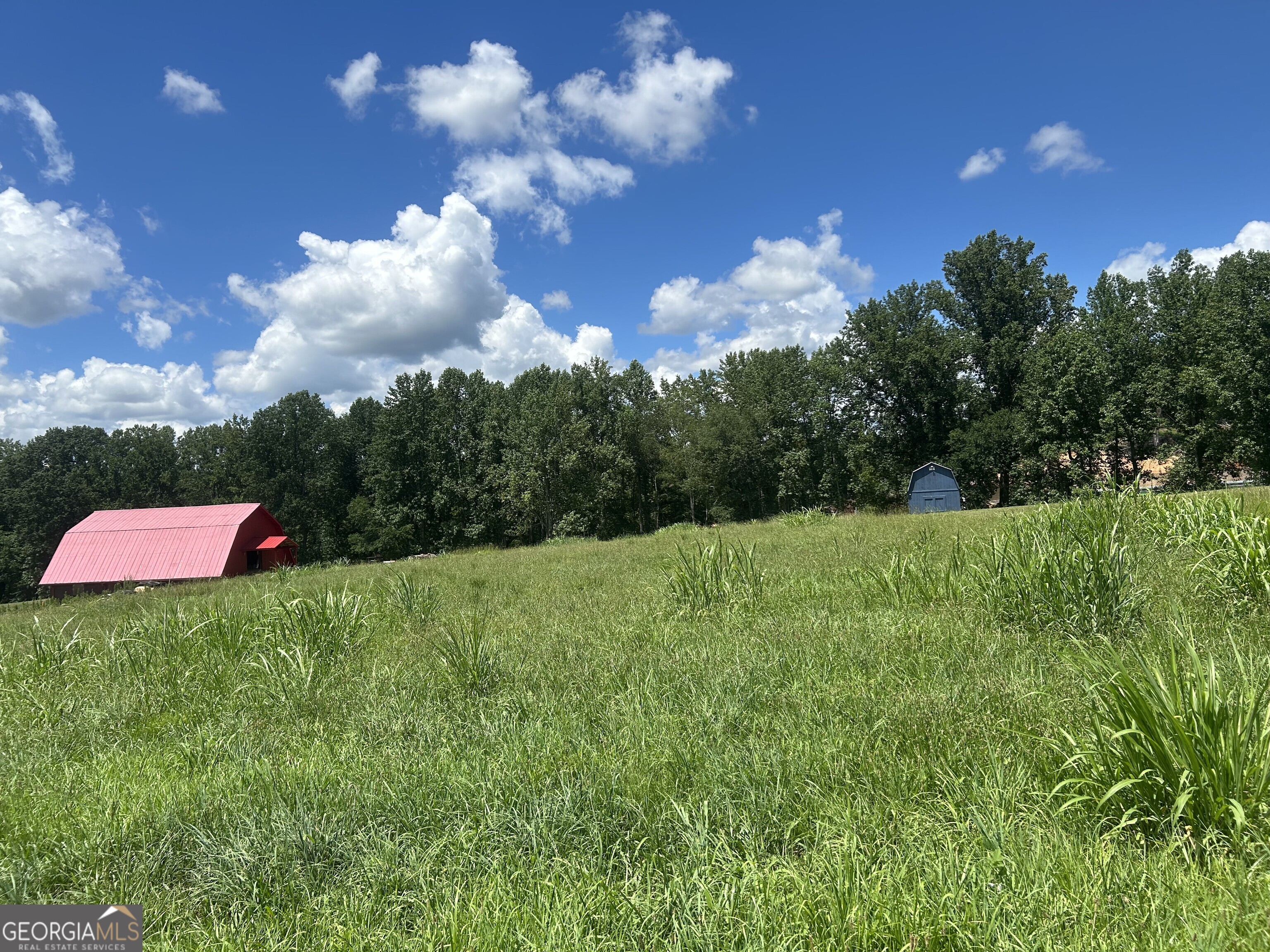 4039 Highway 19 N Property Photo 59