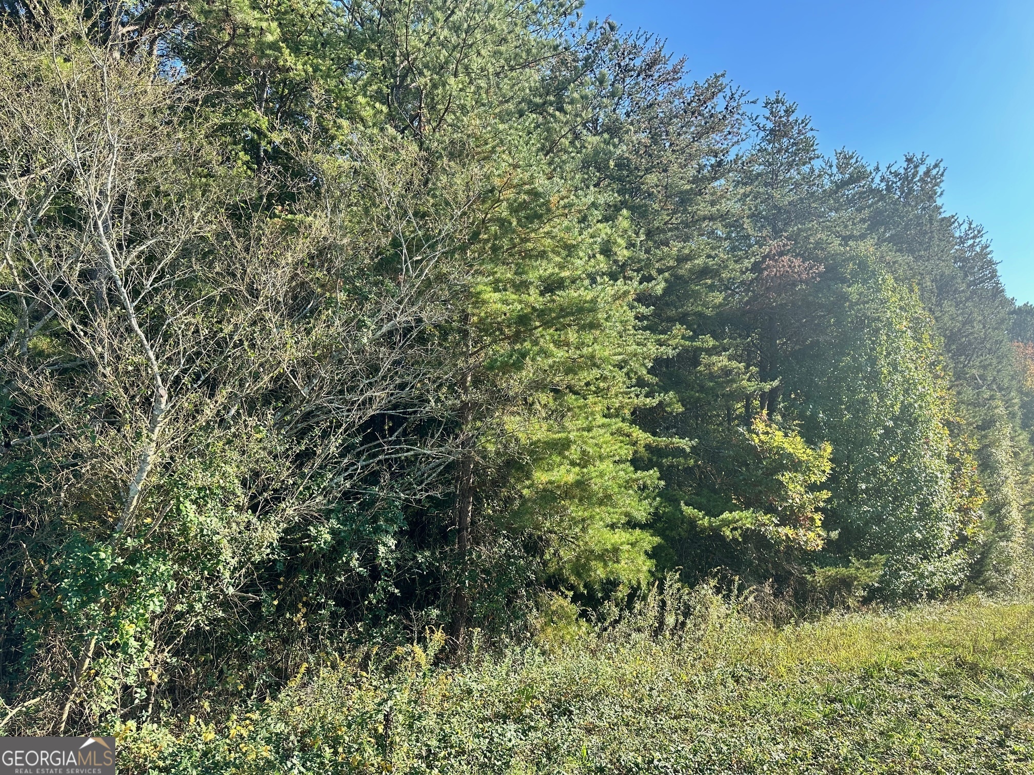 0 Highway 411 Ne Property Photo 7