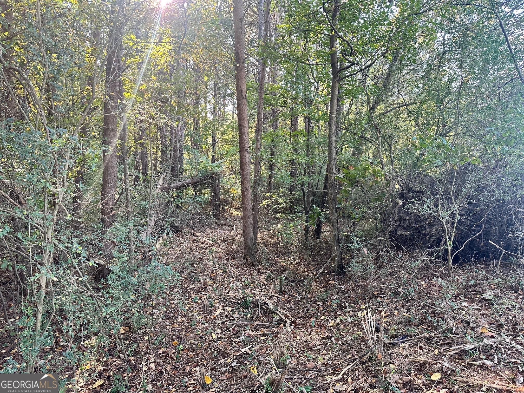 0 Highway 411 Ne Property Photo 8