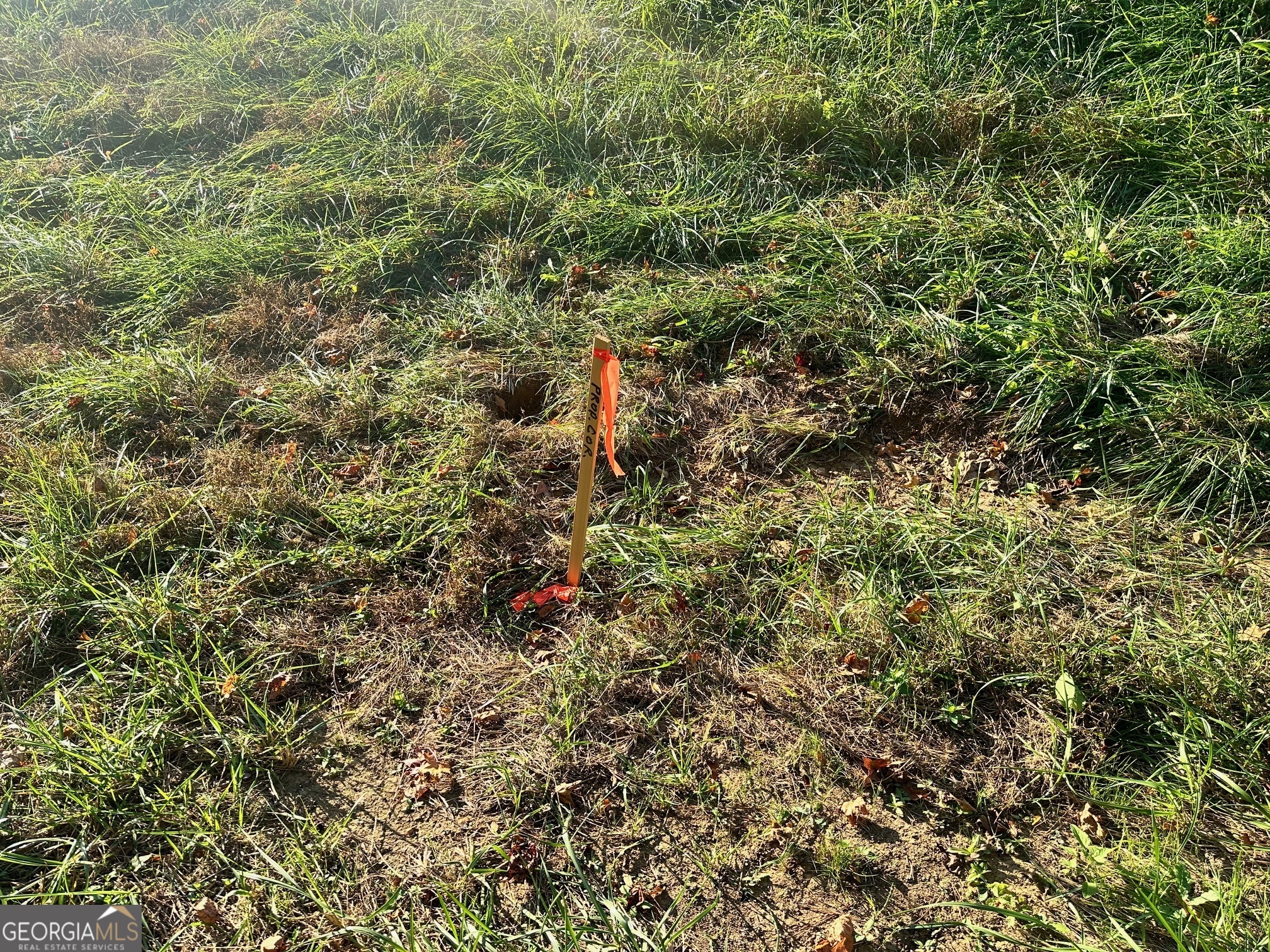 0 Highway 411 Ne Property Photo 10