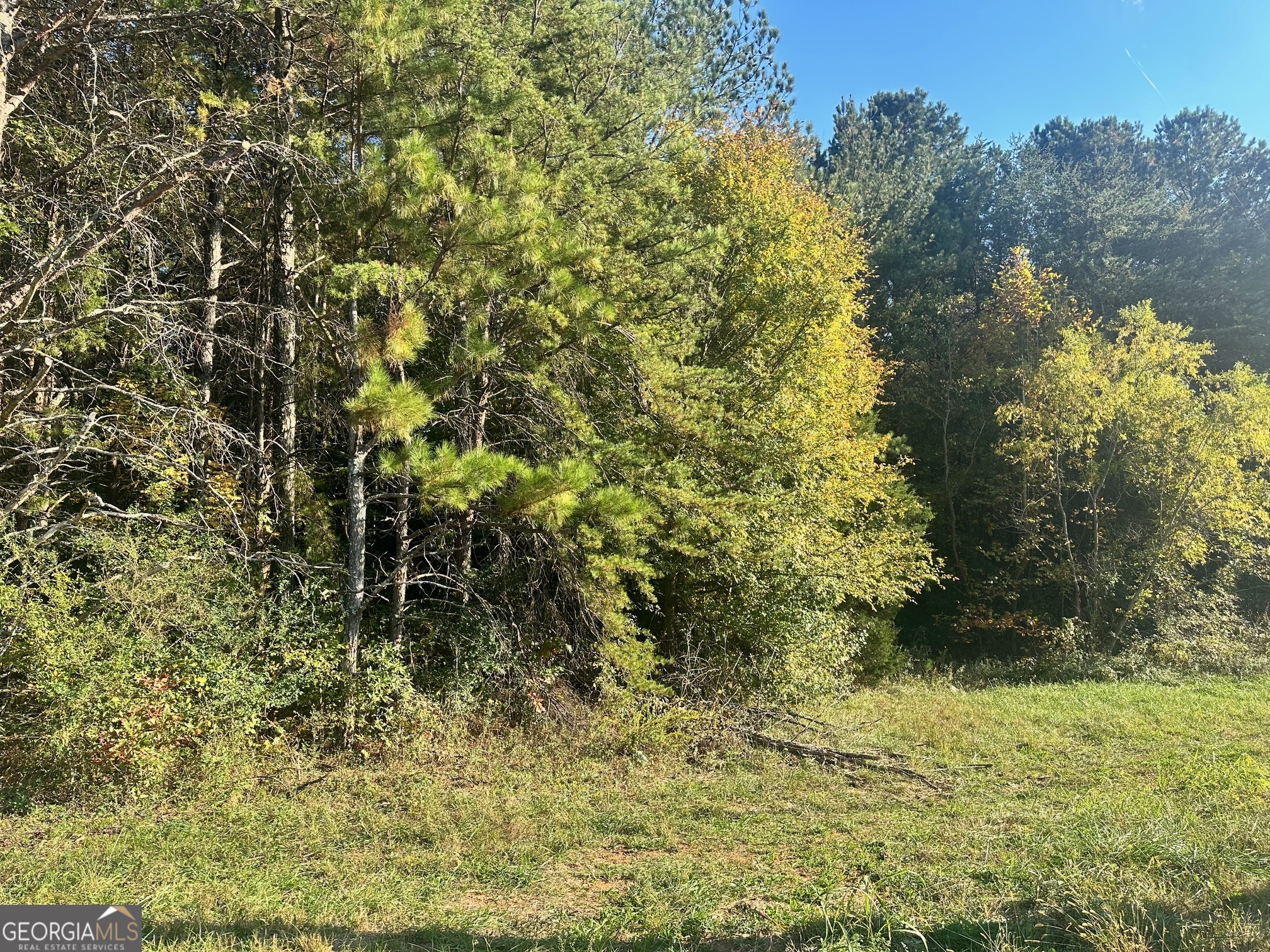 0 Highway 411 Ne Property Photo 13