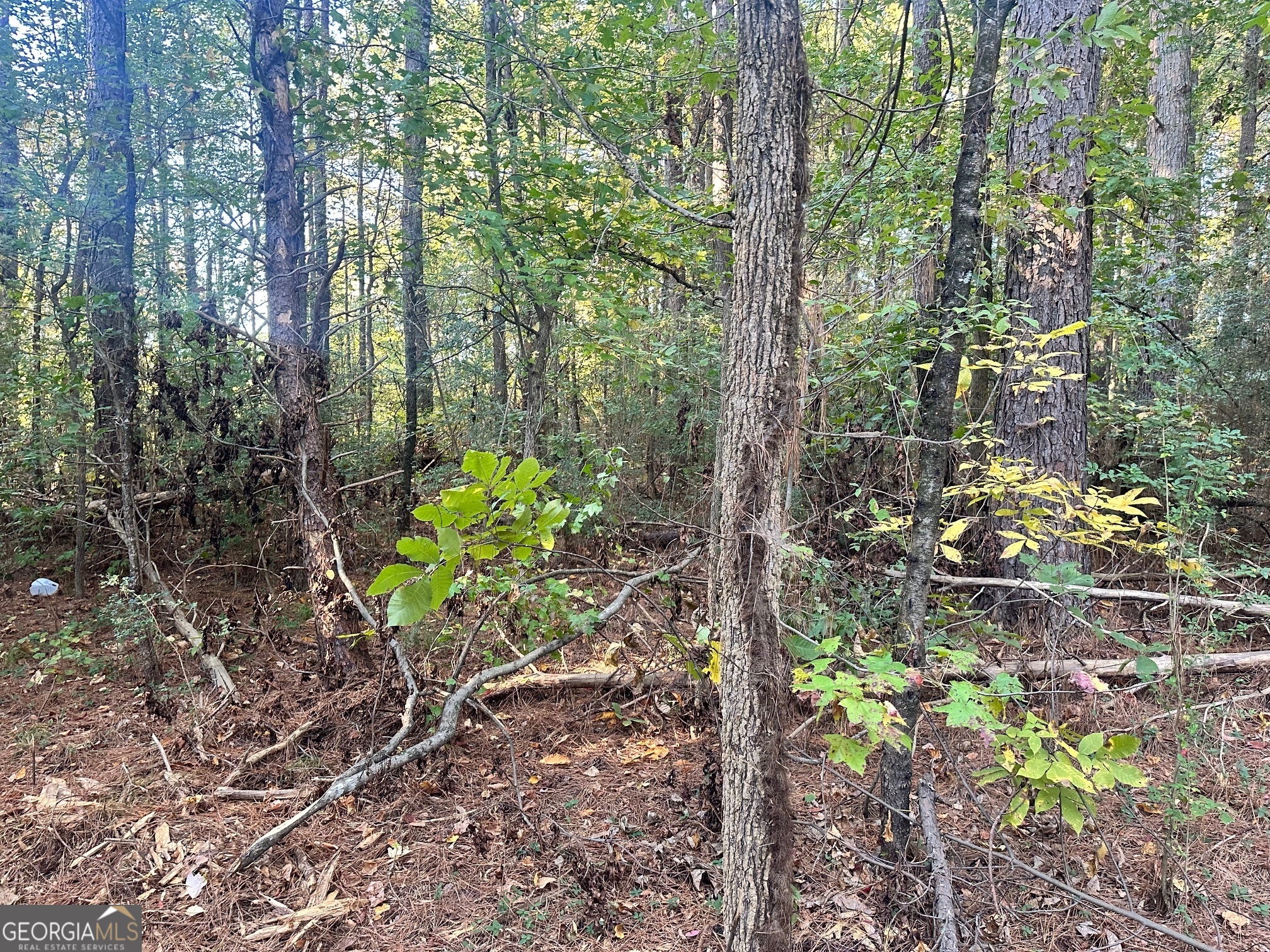 0 Highway 411 Ne Property Photo 16