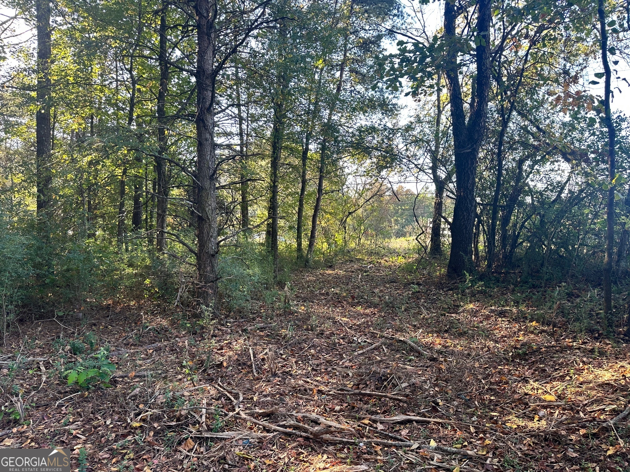 0 Highway 411 Ne Property Photo 17