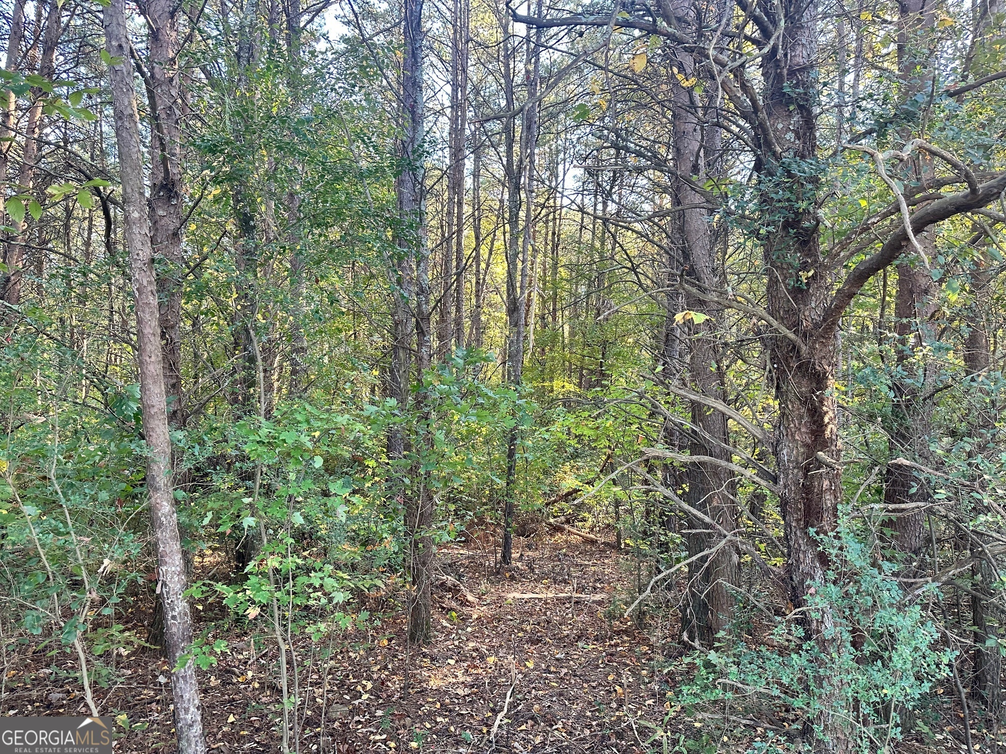 0 Highway 411 Ne Property Photo 18
