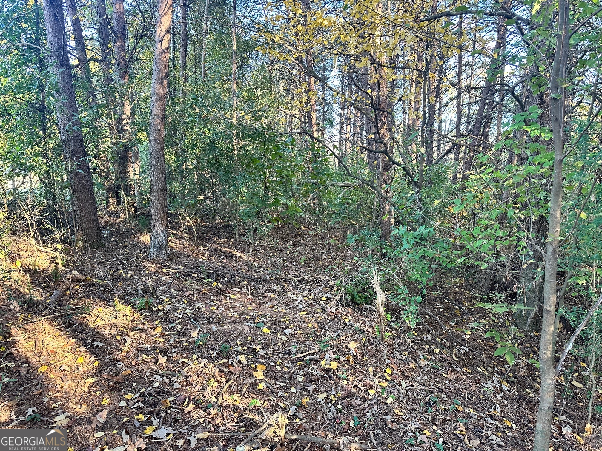 0 Highway 411 Ne Property Photo 19