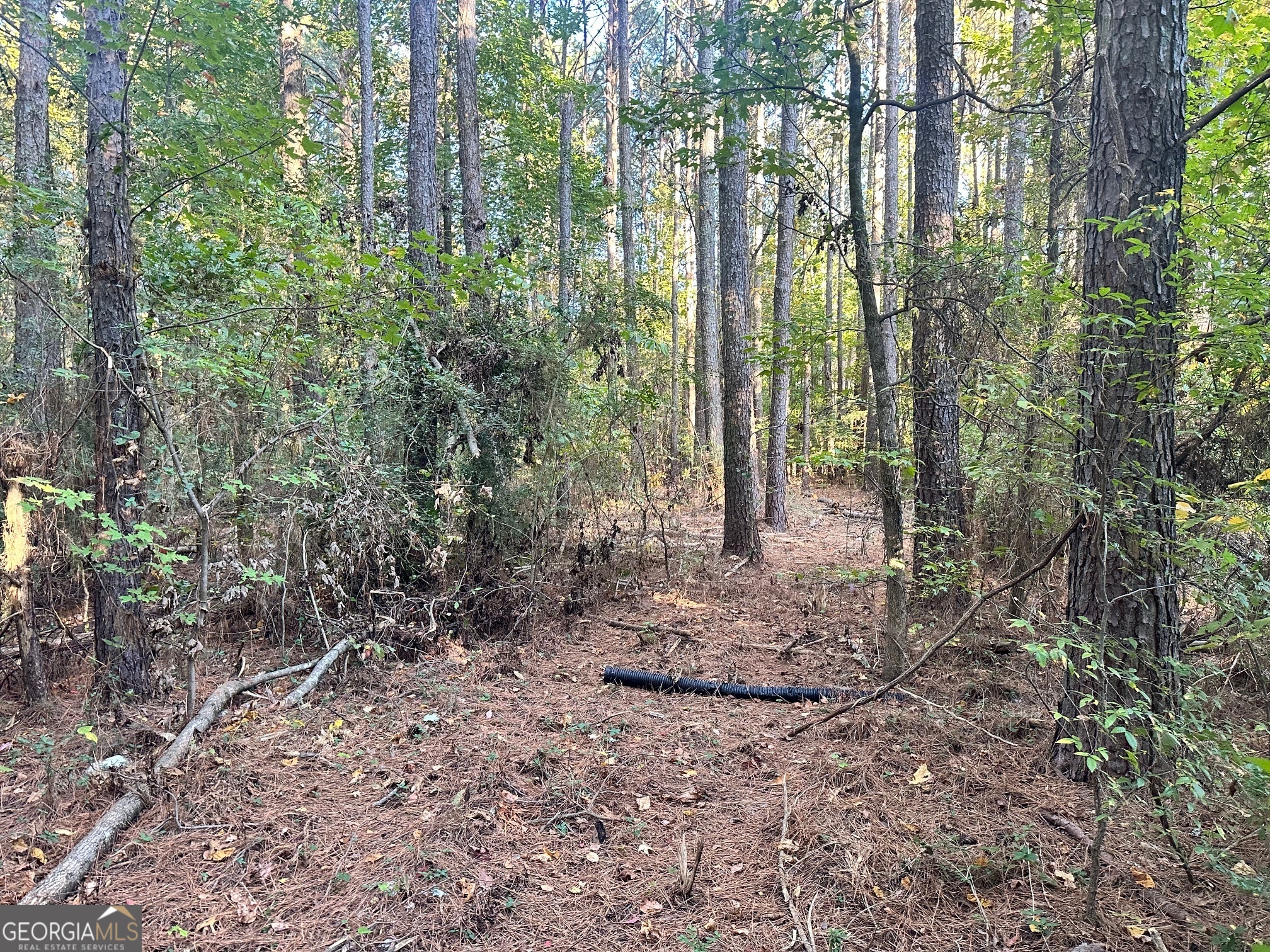 0 Highway 411 Ne Property Photo 20