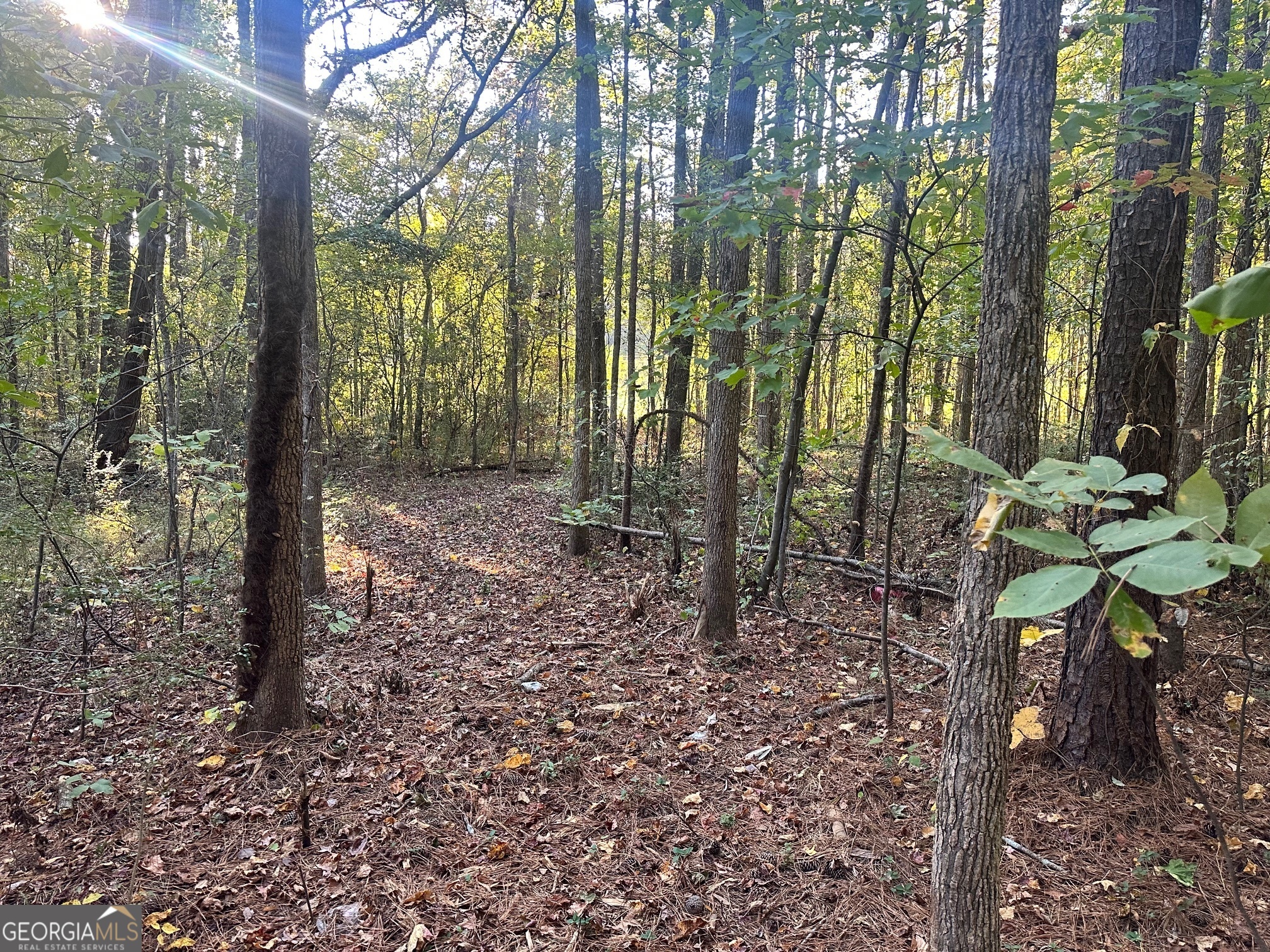 0 Highway 411 Ne Property Photo 21