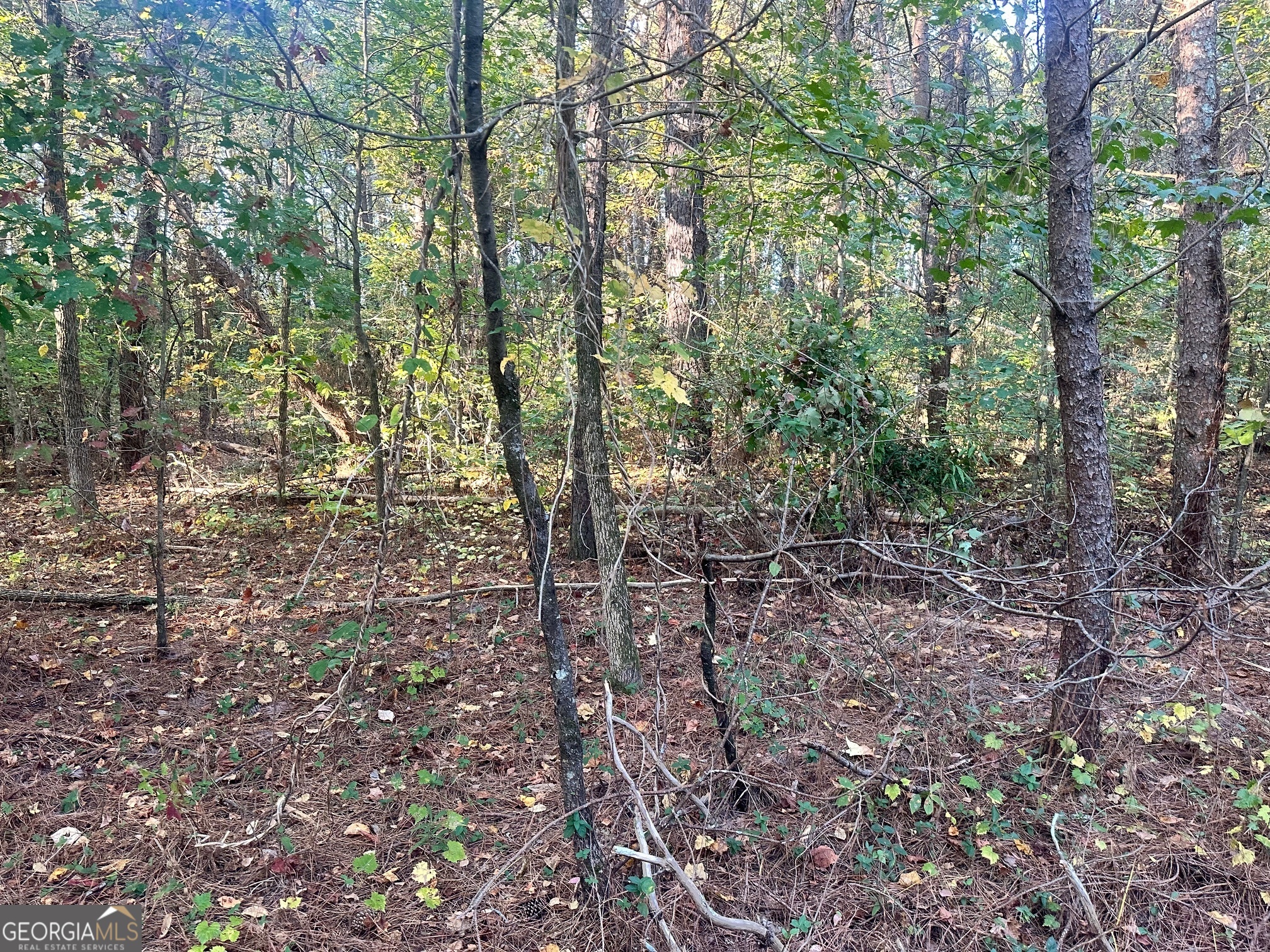 0 Highway 411 Ne Property Photo 23