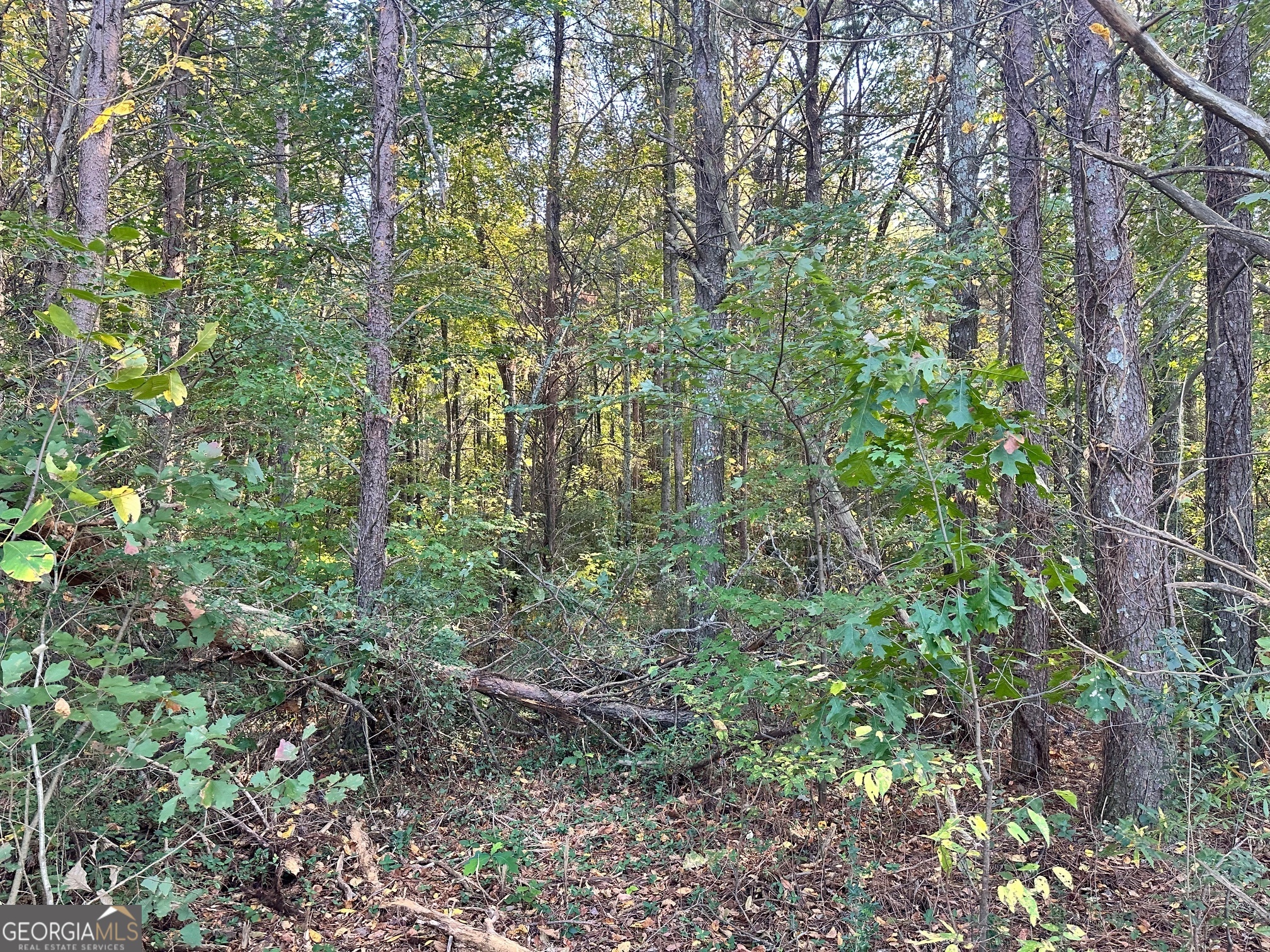 0 Highway 411 Ne Property Photo 24