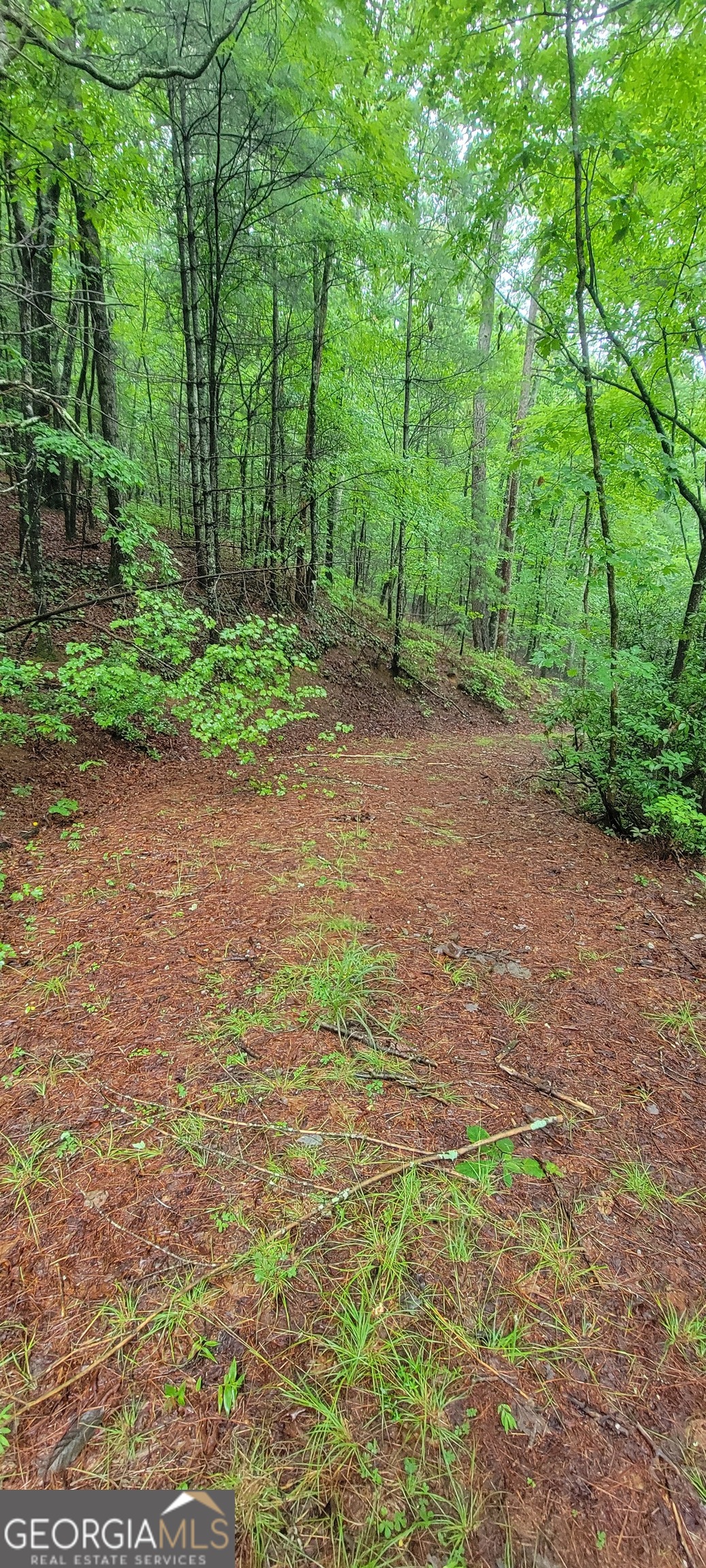 0 Bonanza Lane Property Photo 10
