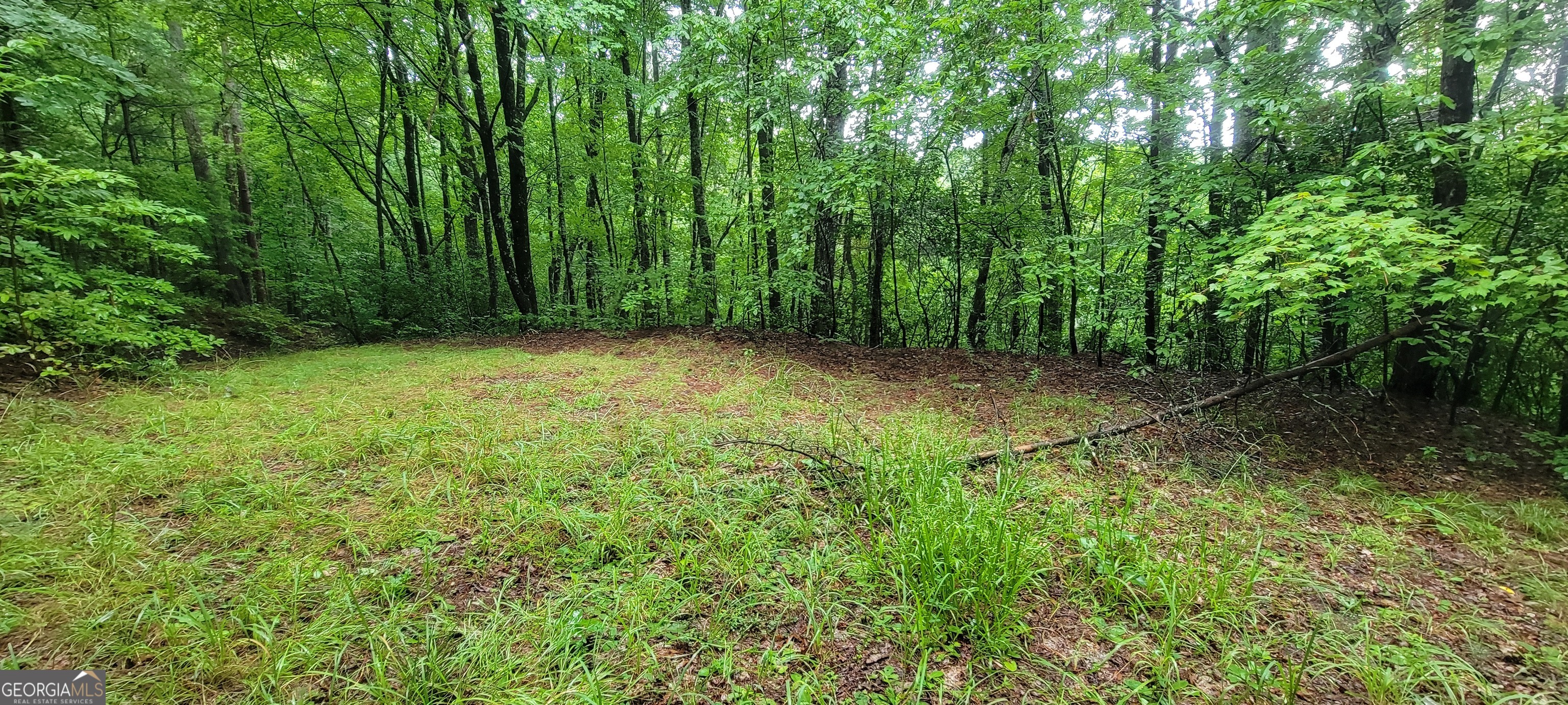 0 Bonanza Lane Property Photo 12