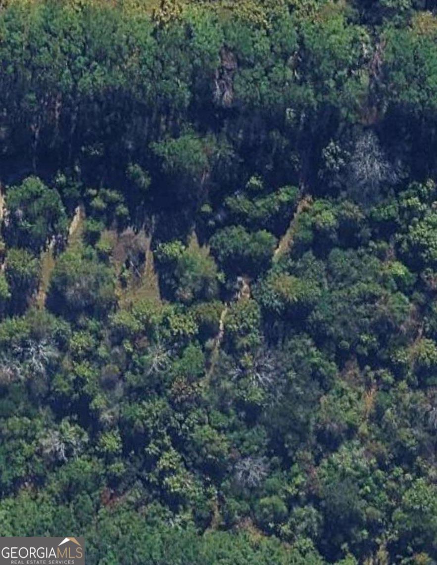 0 Willow Creek Run Property Photo 1