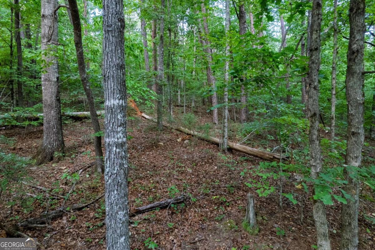 Lot 6 Heatherwood Way Property Photo 3
