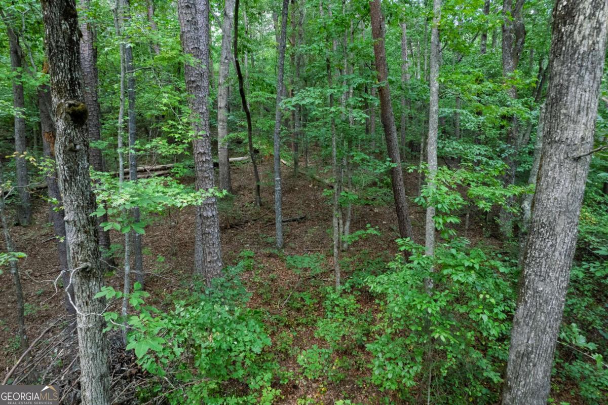 Lot 6 Heatherwood Way Property Photo 7
