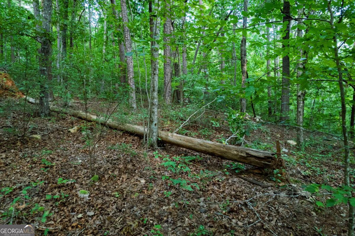 Lot 6 Heatherwood Way Property Photo 8
