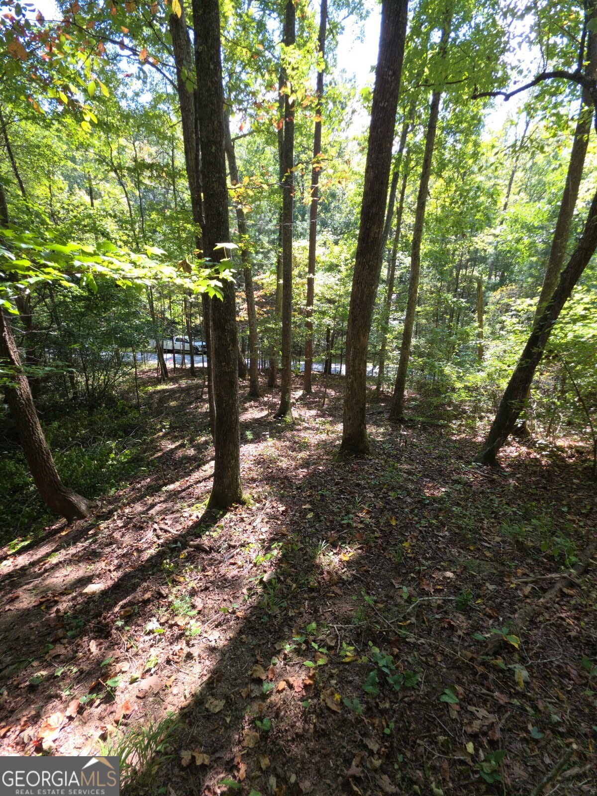 Lot 6 Heatherwood Way Property Photo 9