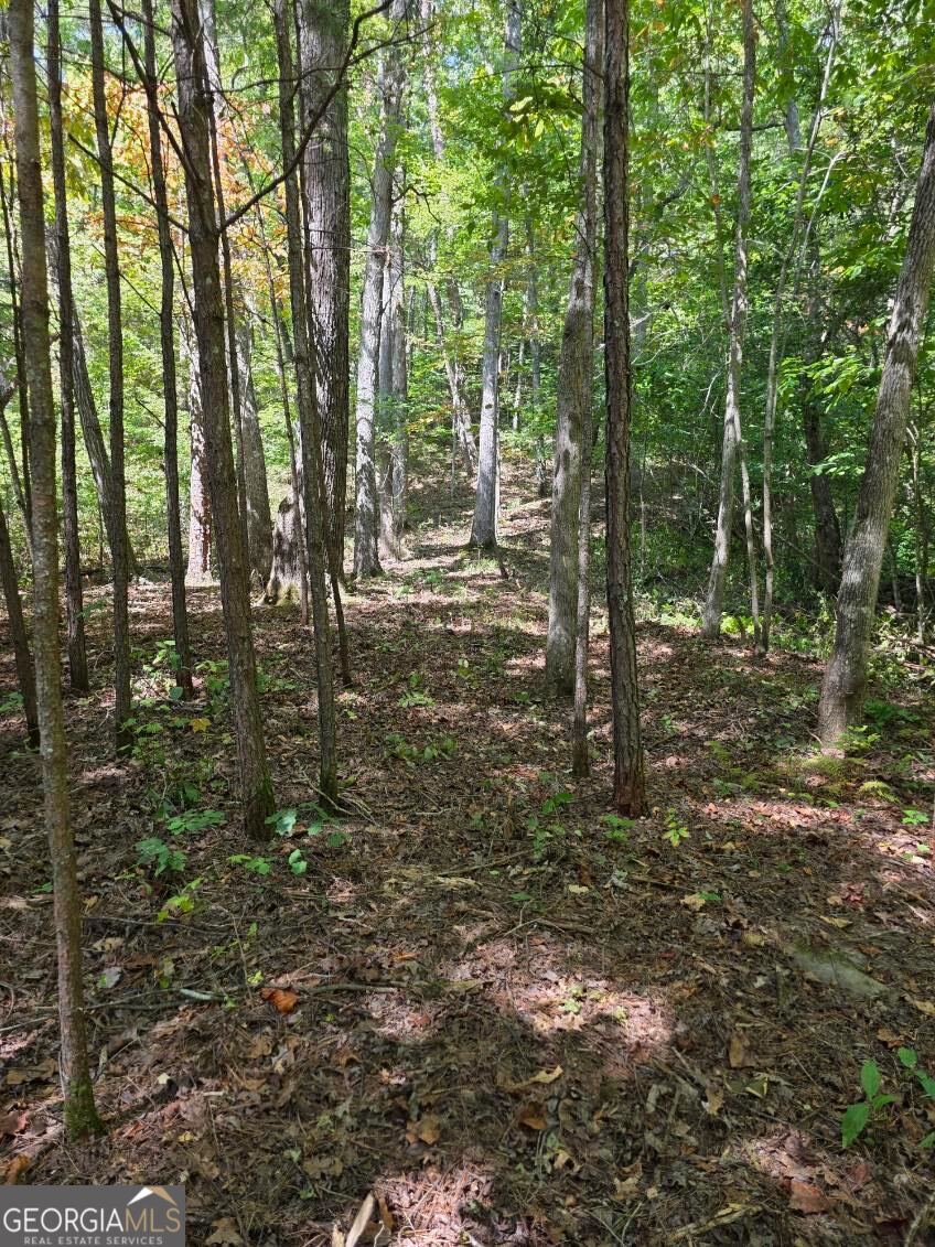 Lot 6 Heatherwood Way Property Photo 10