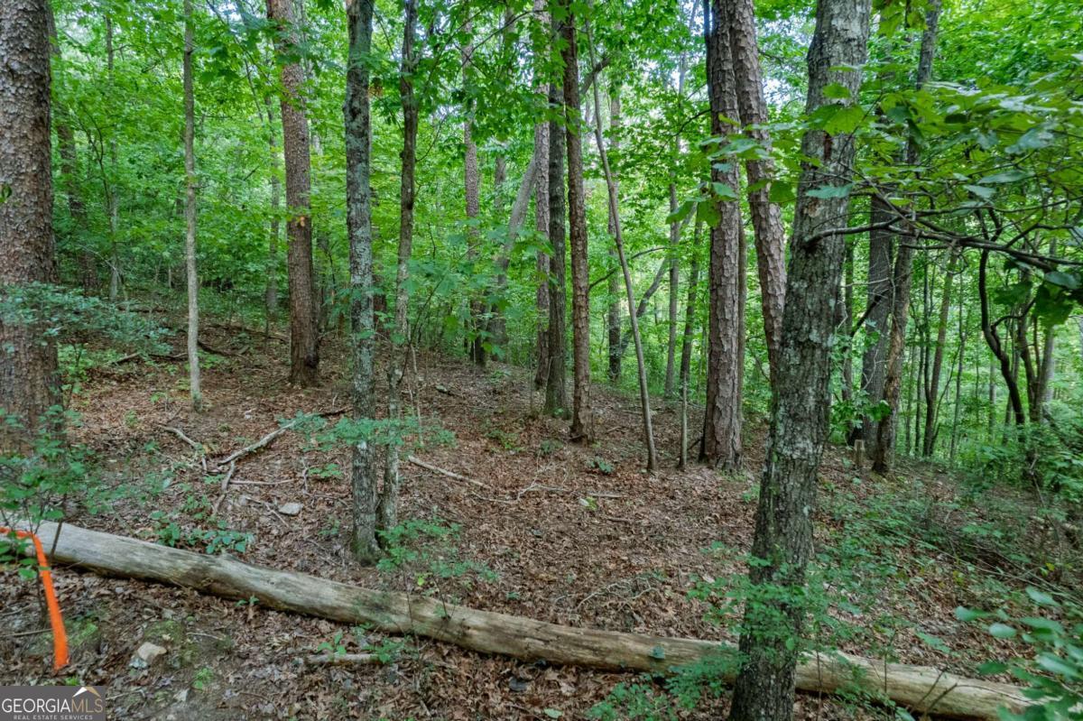 Lot 6 Heatherwood Way Property Photo 11