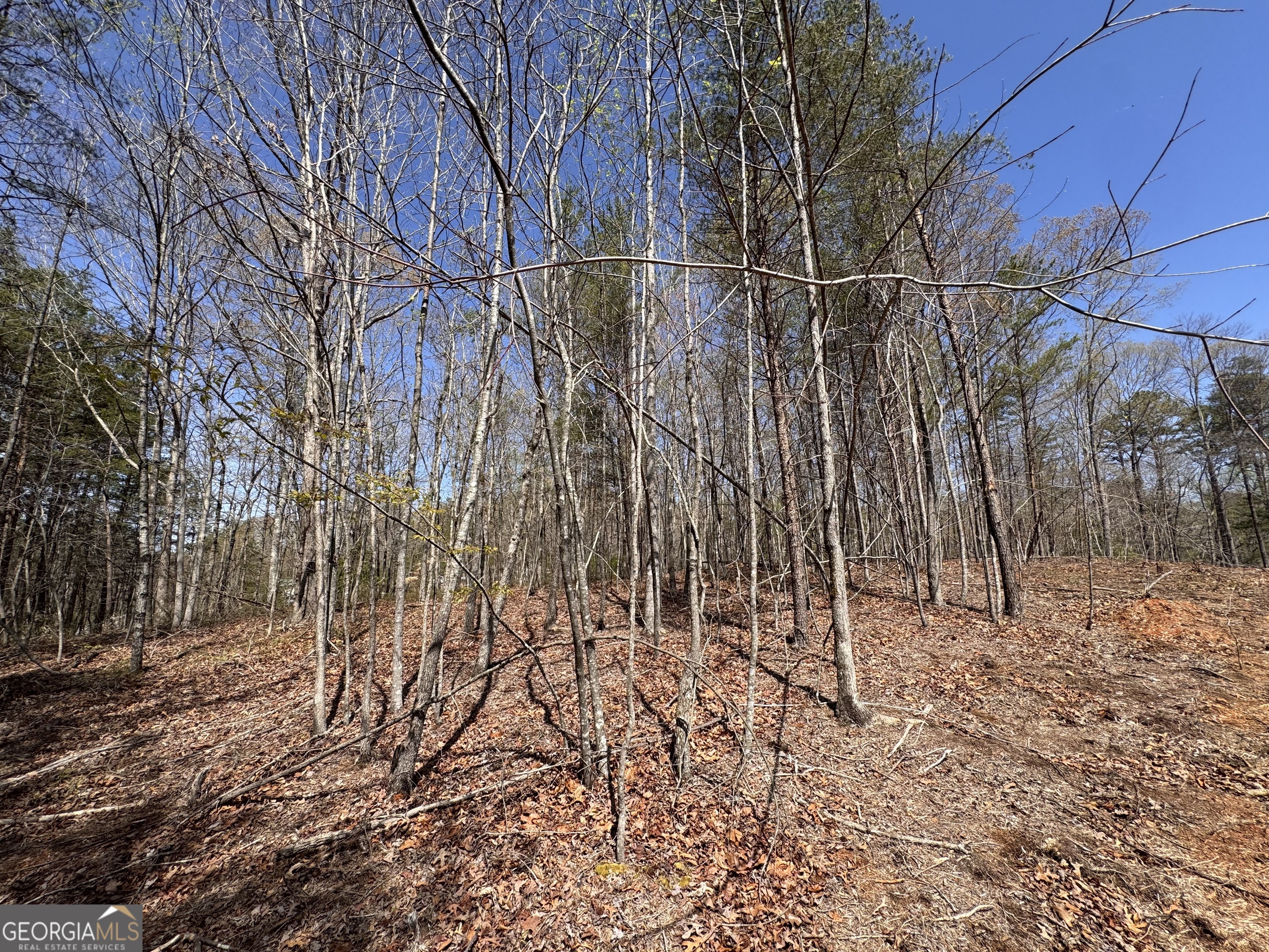 0 Highway 129 N Property Photo 1