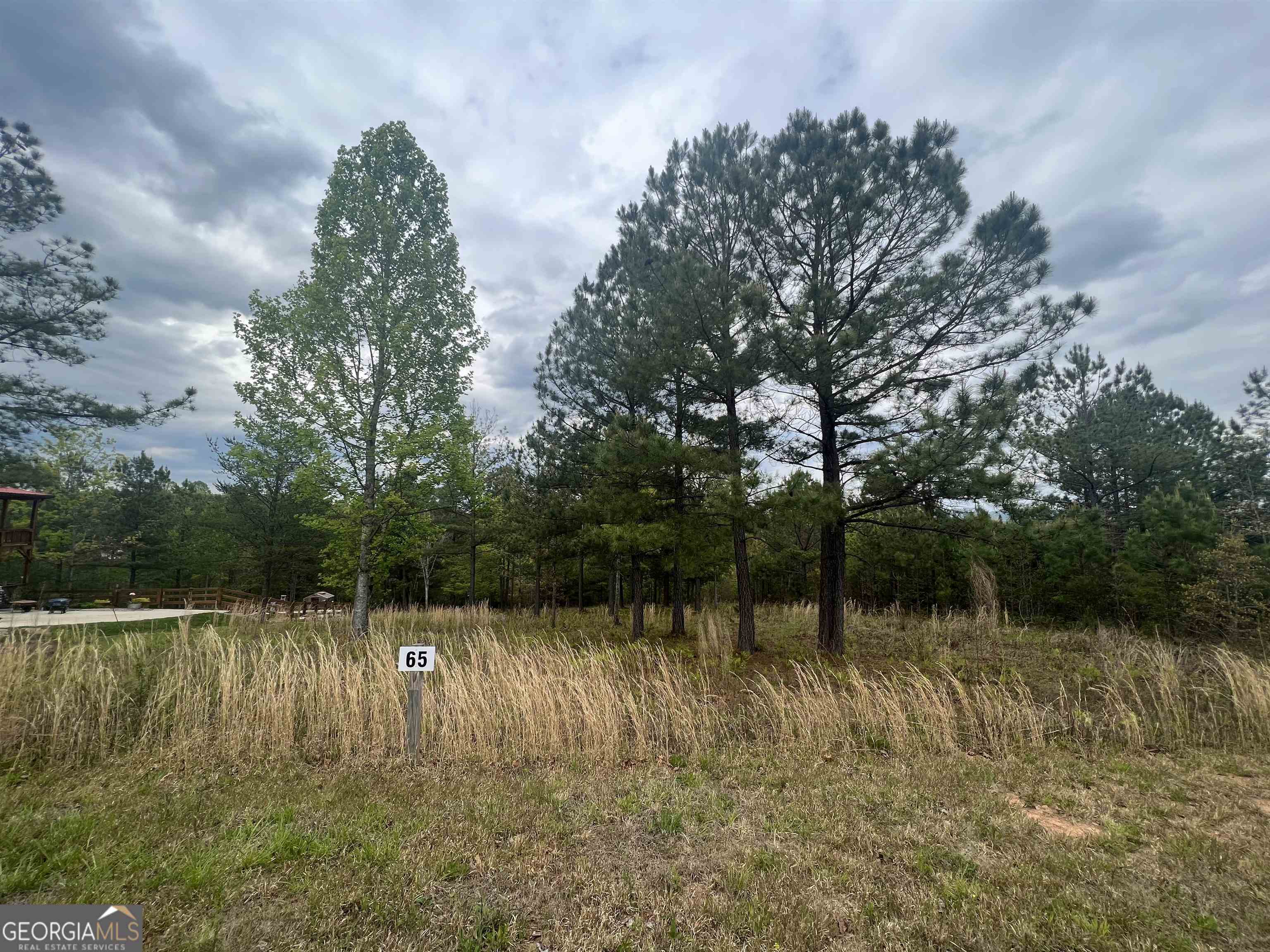 Lot 65 Village Loop Property Photo 1