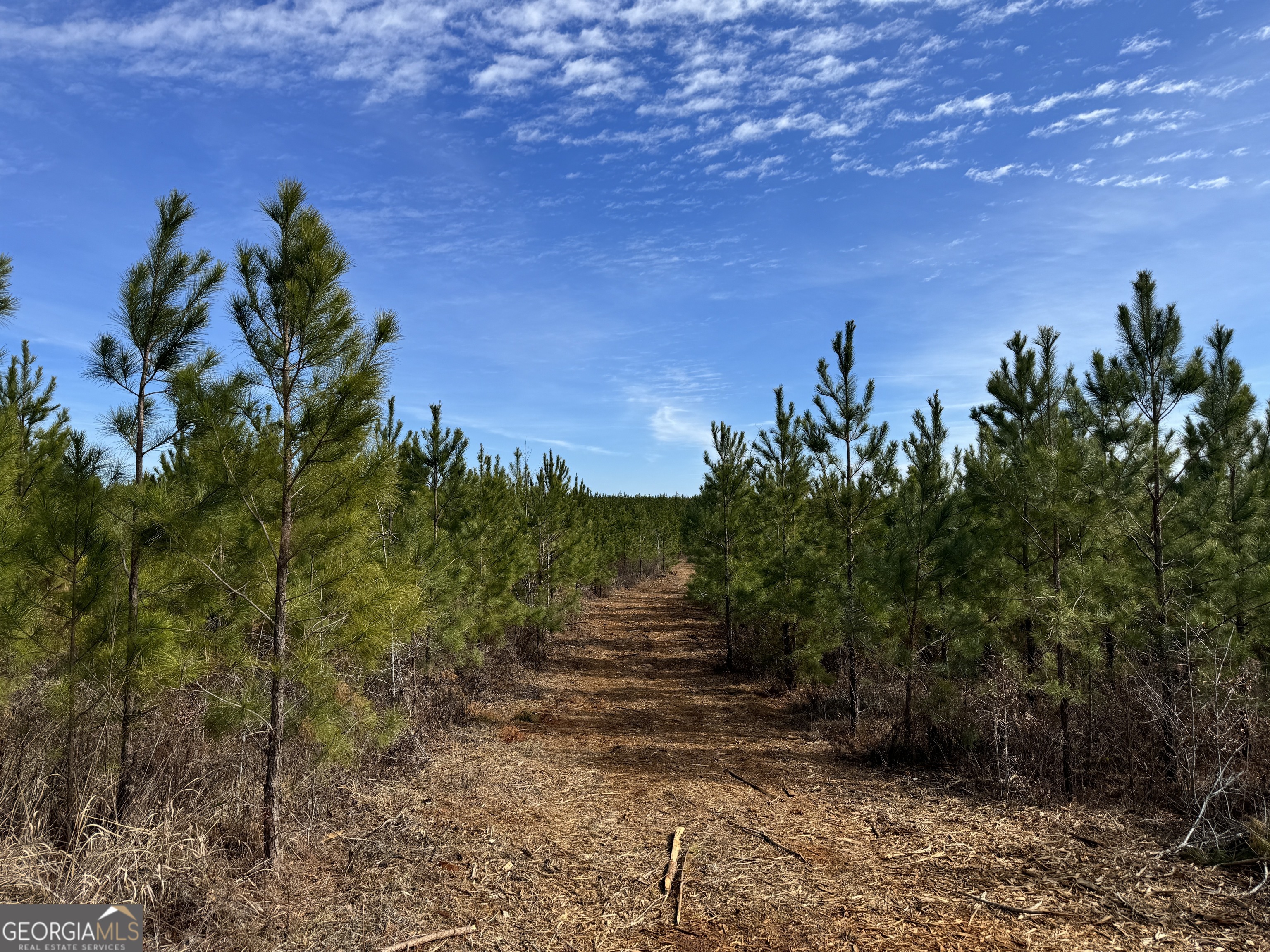018 Dozier Road Property Photo 1