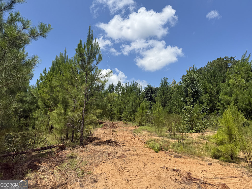 0 Fox Creek Road Property Photo 6