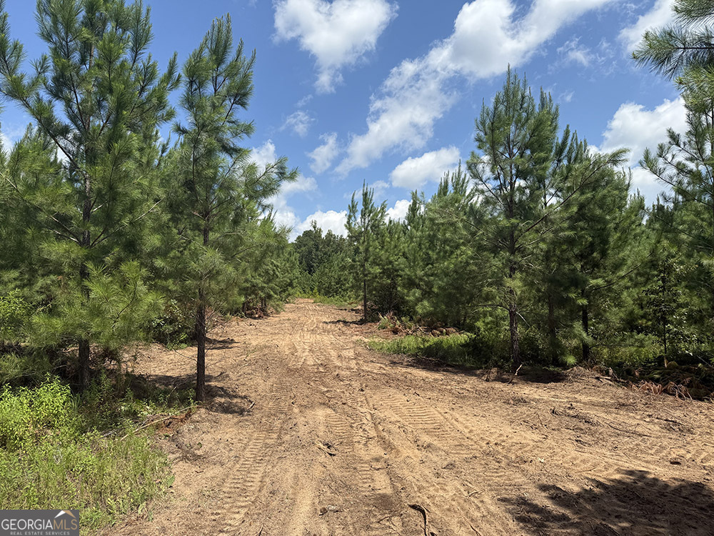 0 Fox Creek Road Property Photo 8
