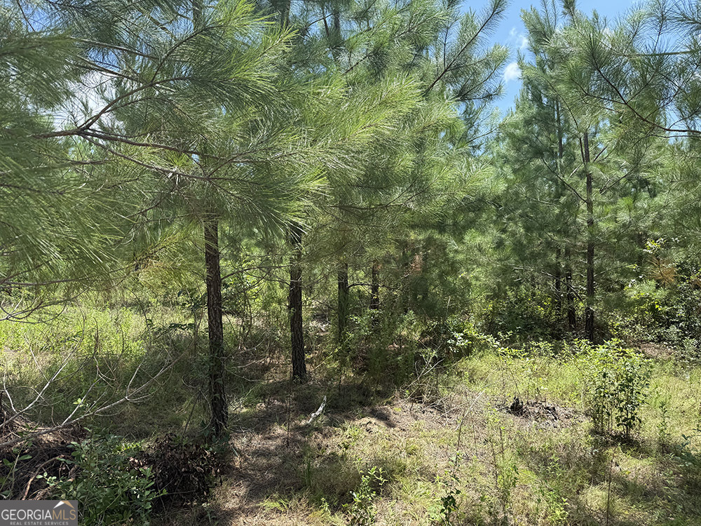0 Fox Creek Road Property Photo 10