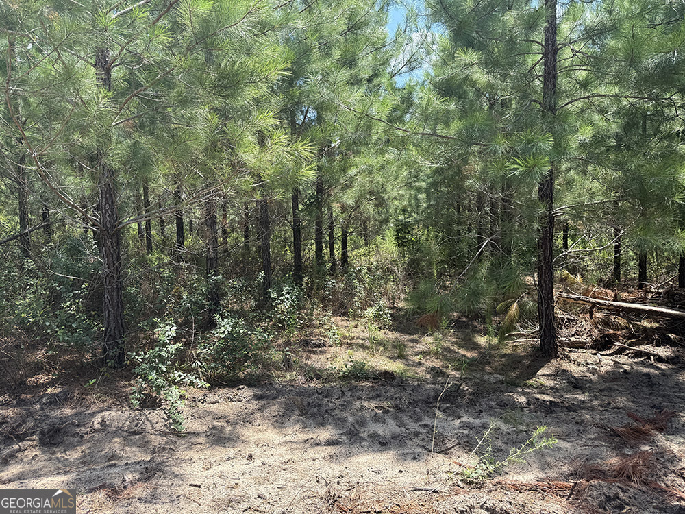 0 Fox Creek Road Property Photo 11