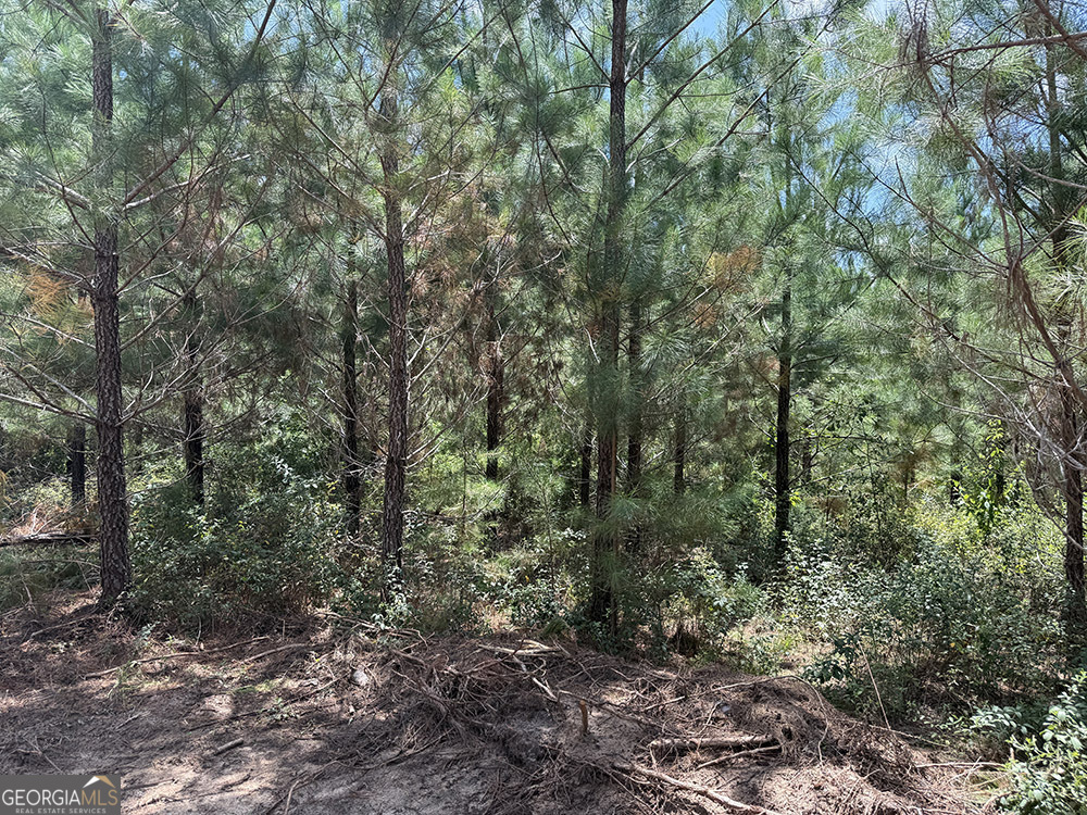 0 Fox Creek Road Property Photo 12
