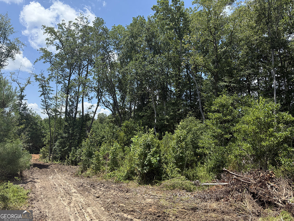 0 Fox Creek Road Property Photo 13