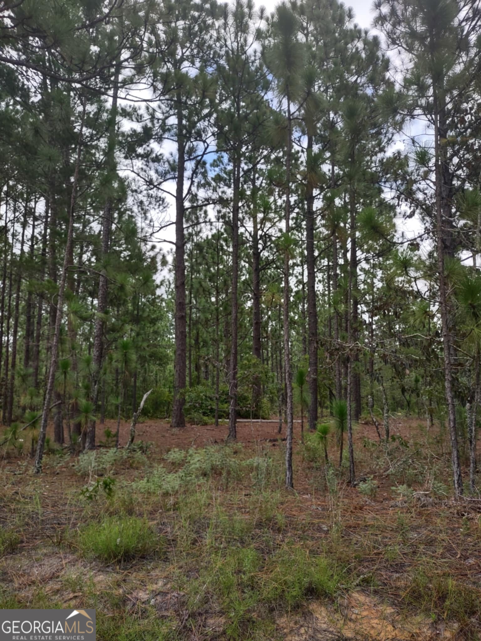 0 James Stubbs Road Property Photo 1