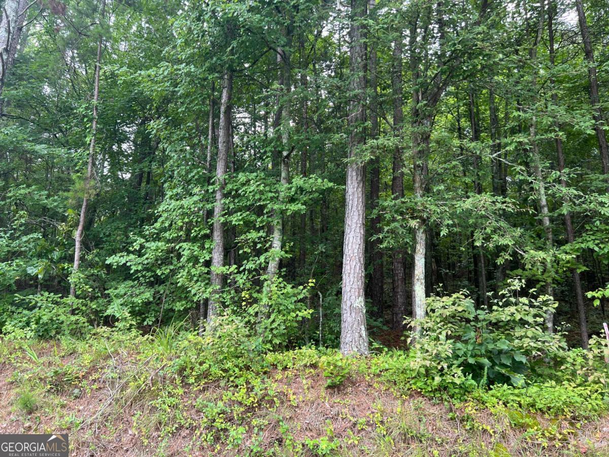119 Kirk Road NW