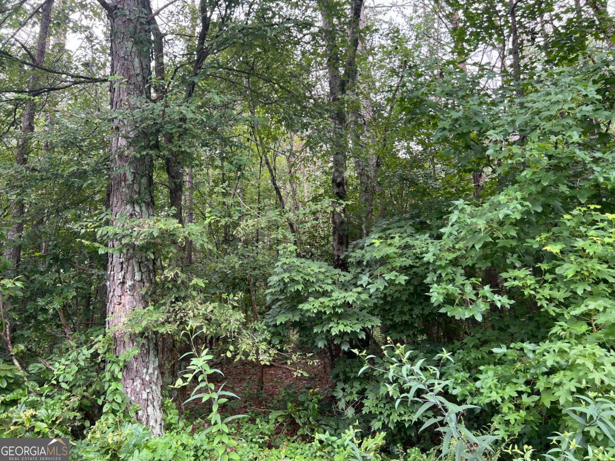 119 Kirk Road Nw Property Photo 2