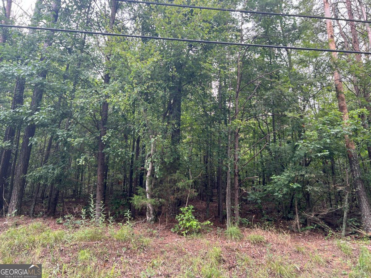 119 Kirk Road Nw Property Photo 3