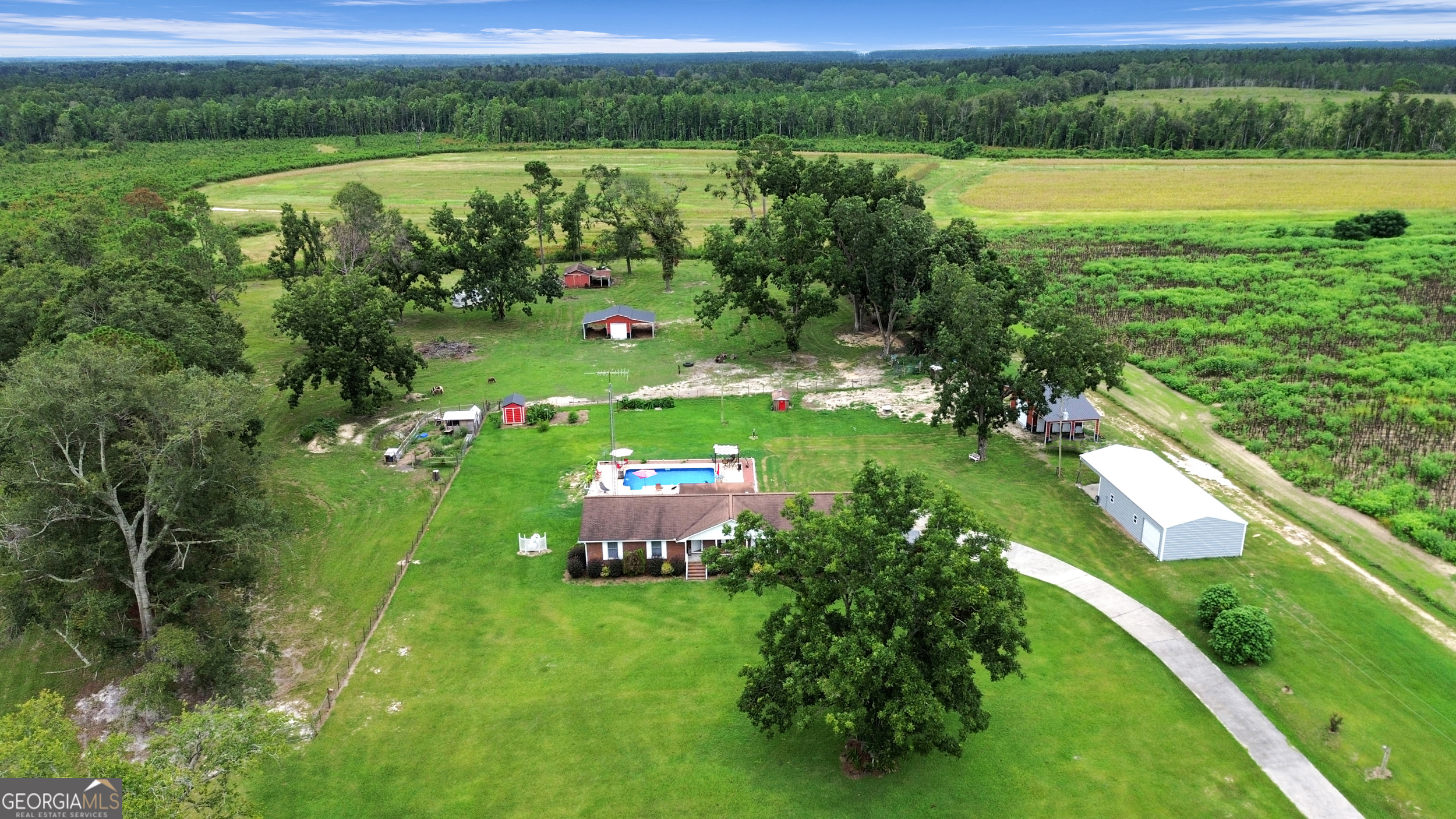 14936 Ga Highway 86 Property Photo 60