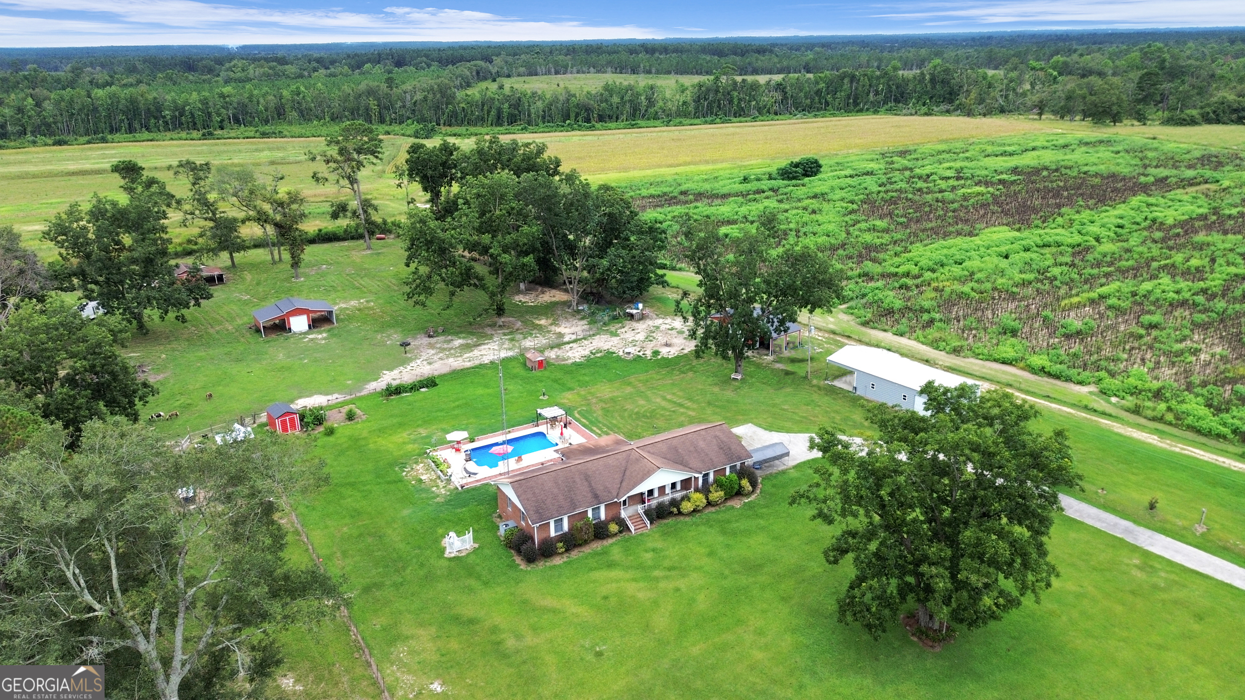 14936 Ga Highway 86 Property Photo 61